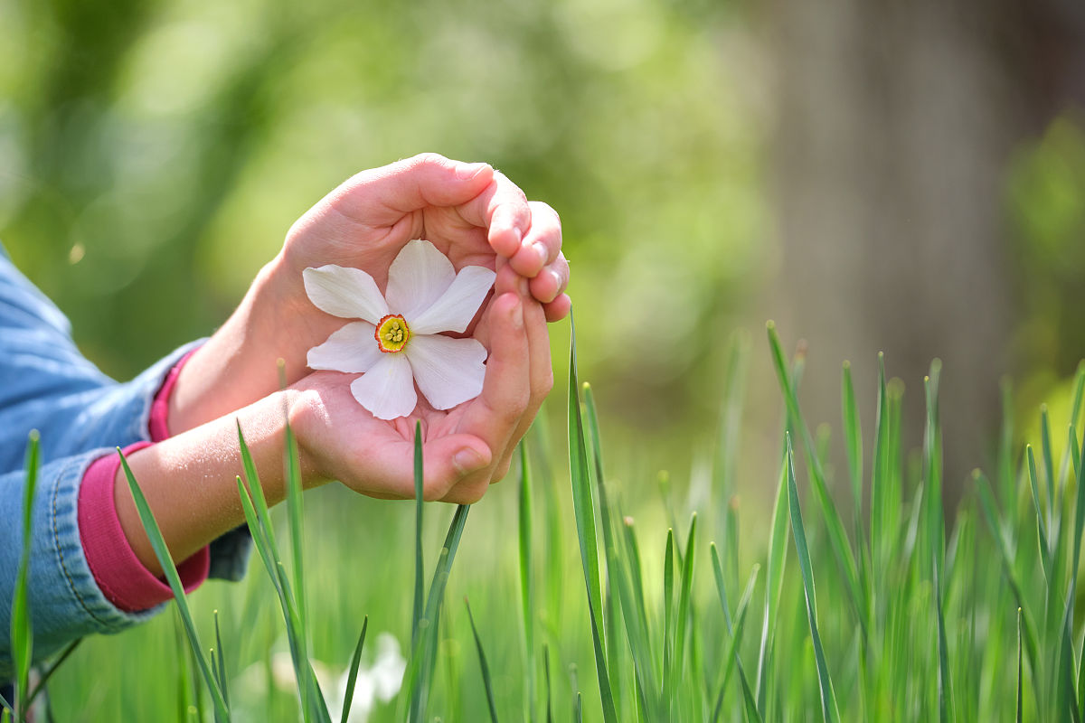 花仙子防御技能名称：50个创意灵感