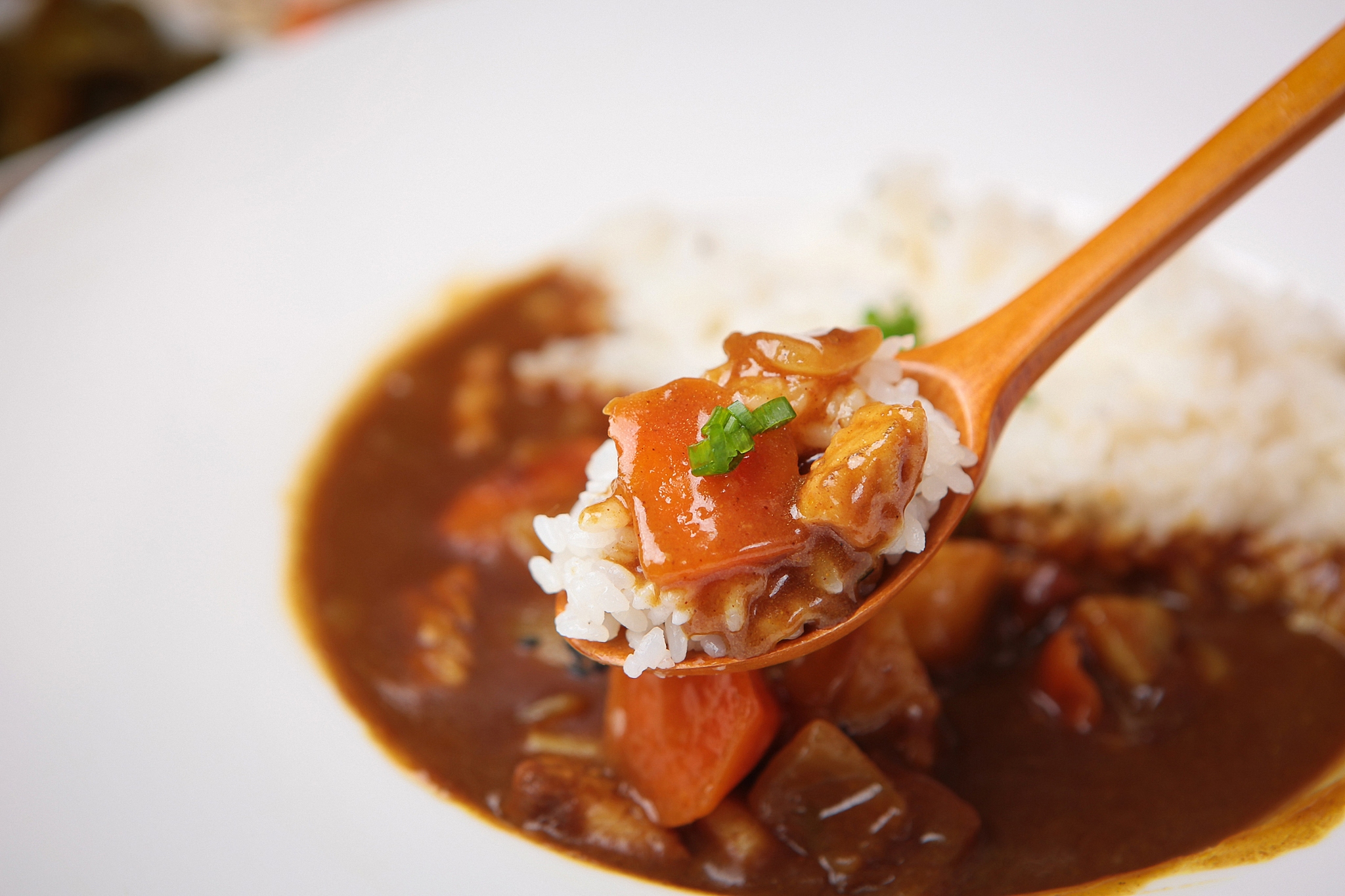 curry,japanese food