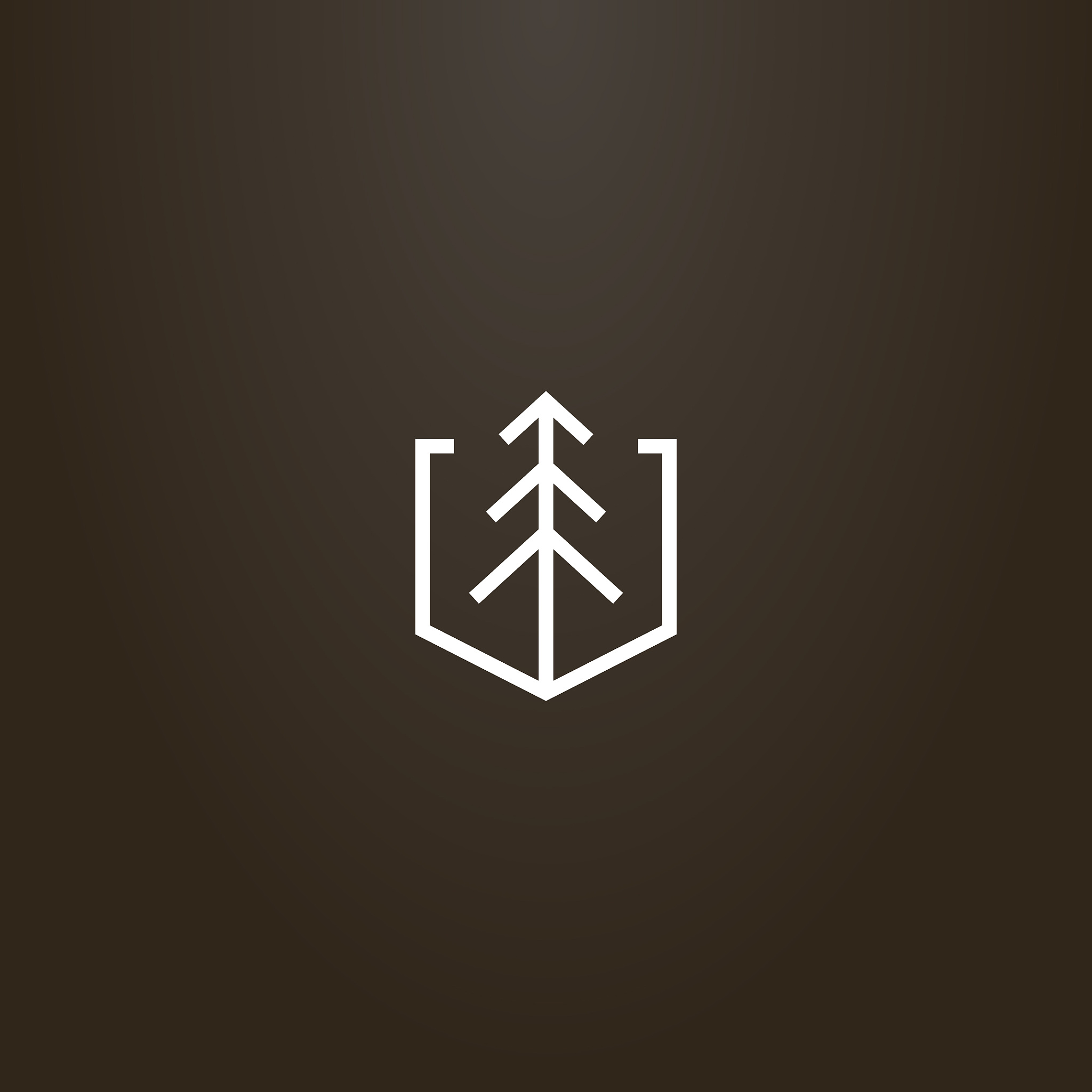 vector line art geometric sign of spruce in a shield shaped fram