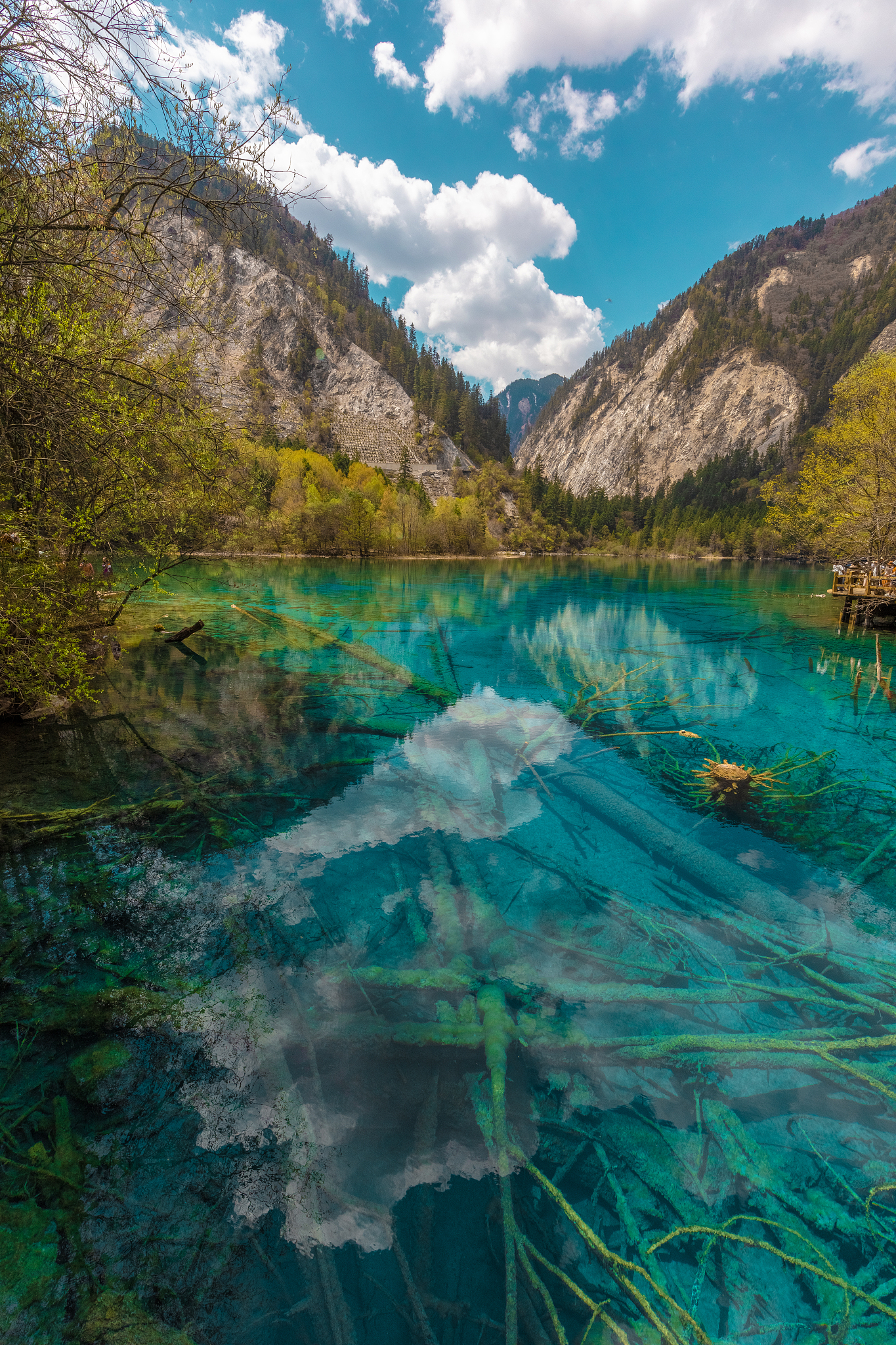 畅游四川，解锁绝美风光与地道美食🌸
