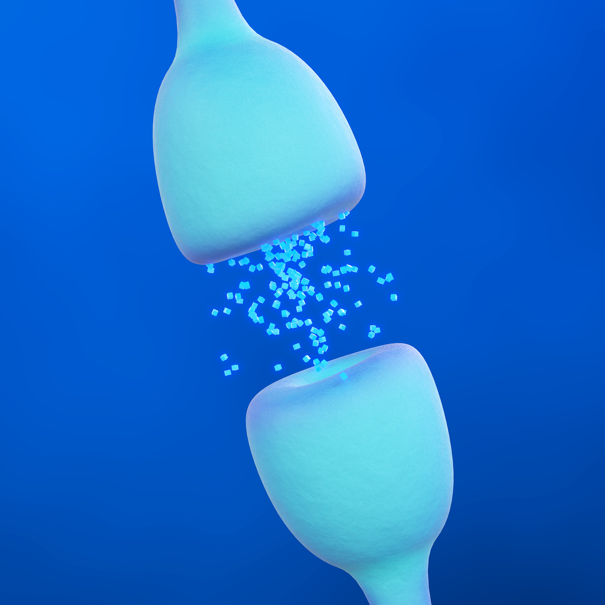 神经元和突触有什么不同？