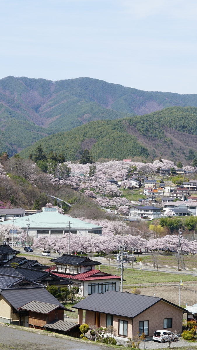 日本长野旅游攻略,日本长野县旅游攻略