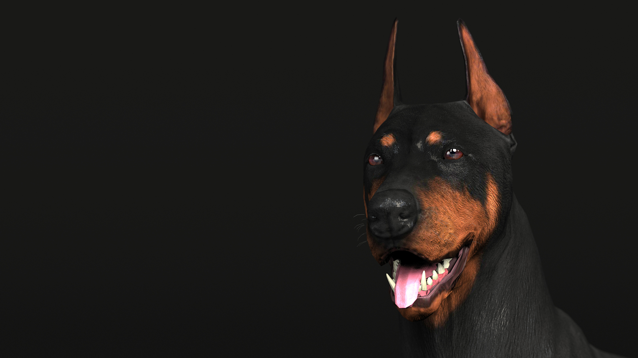 张丛慧是狗吗？- 揭秘真相