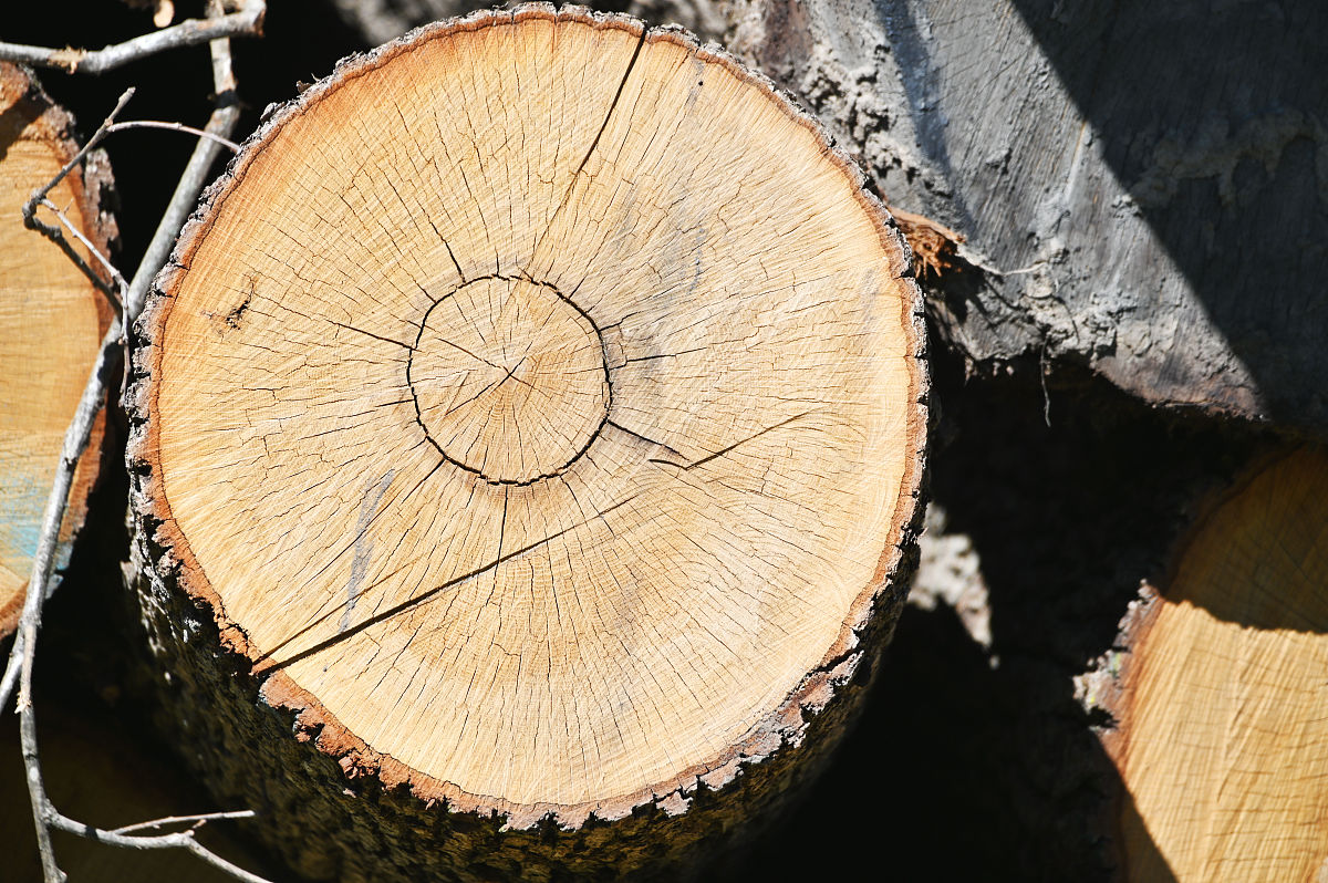 翻转瓶子圣诞游戏更新日志