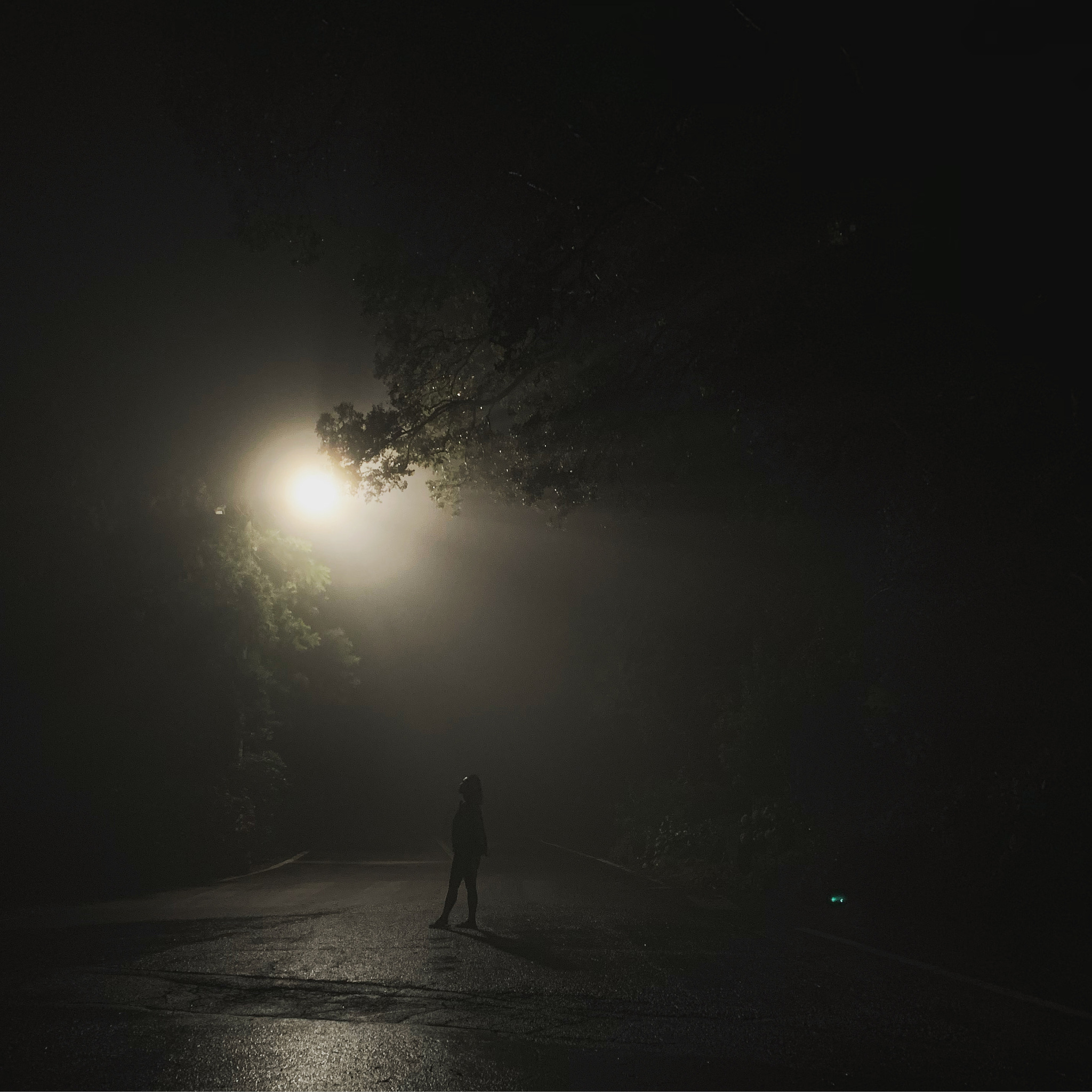 深夜寂寞怎么办？8个摆脱孤独感的小妙招