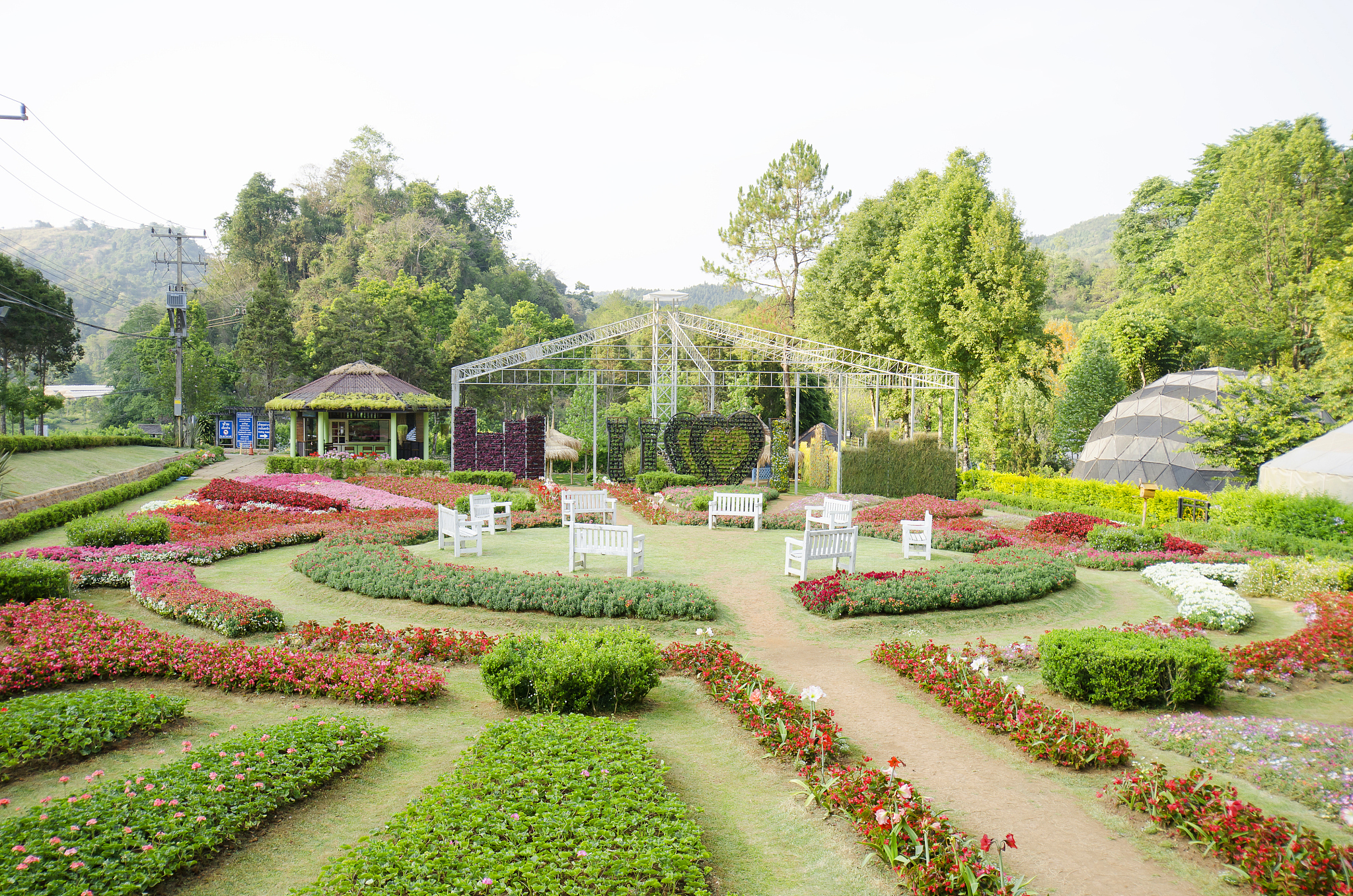 2023年报读园林技术花卉专业怎么样