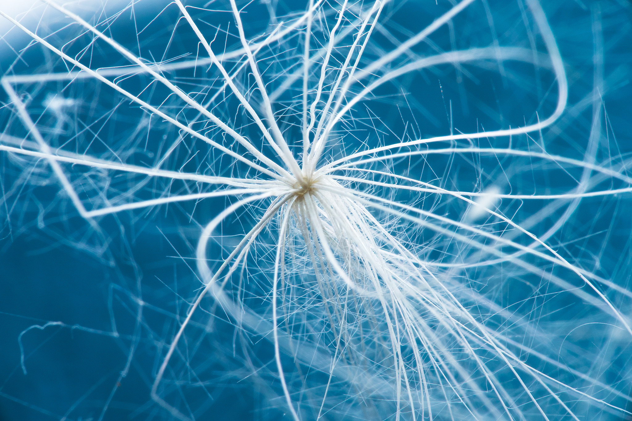 云南省贸易经济学校种子生产与经营专业介绍