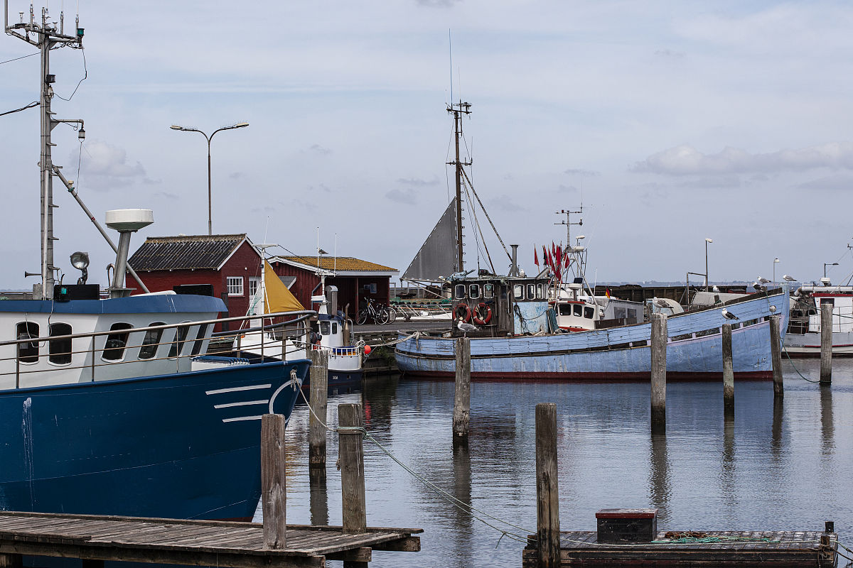 哪些内容适合写成科普文章