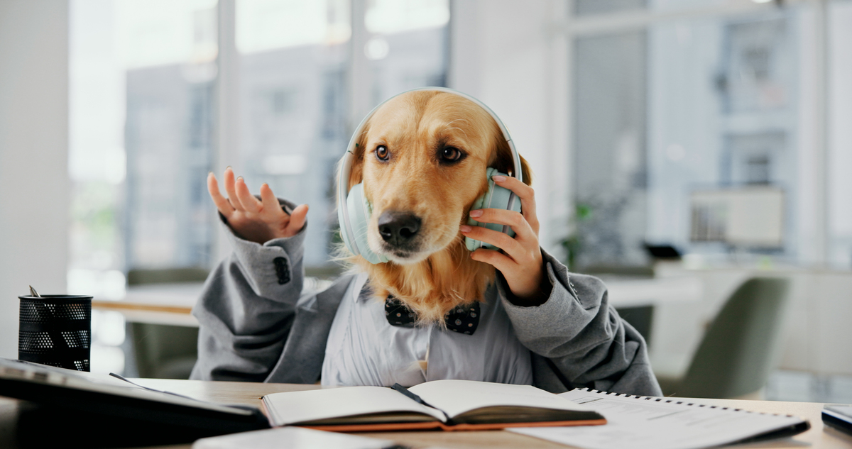 爆笑面试：小明的动物模仿秀