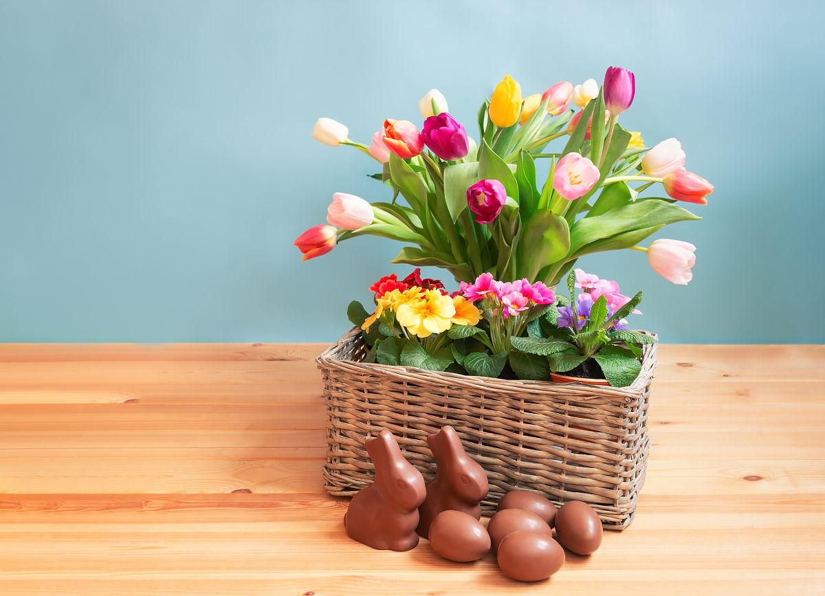 春天的美好：100字作文赏析