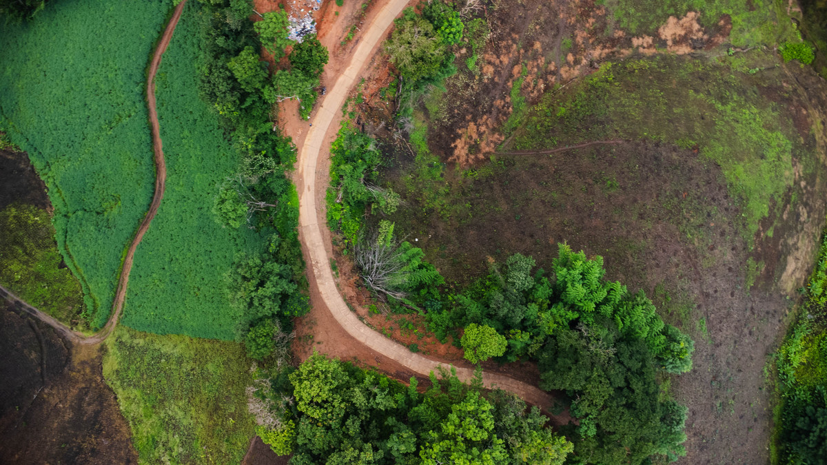 生物多样性保护：地球和人类的未来