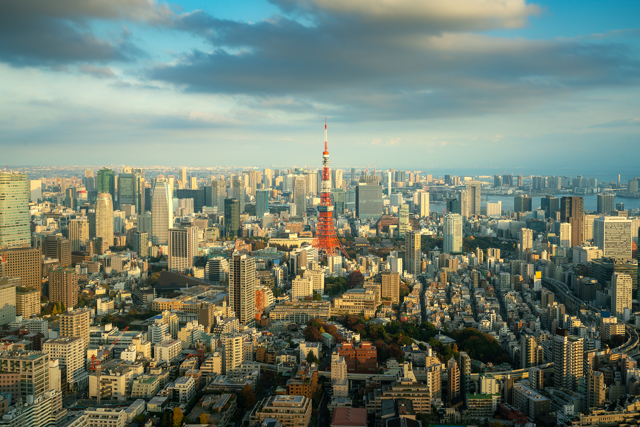 tokyo city view with tokyo tower at evening in japan. skyscraper