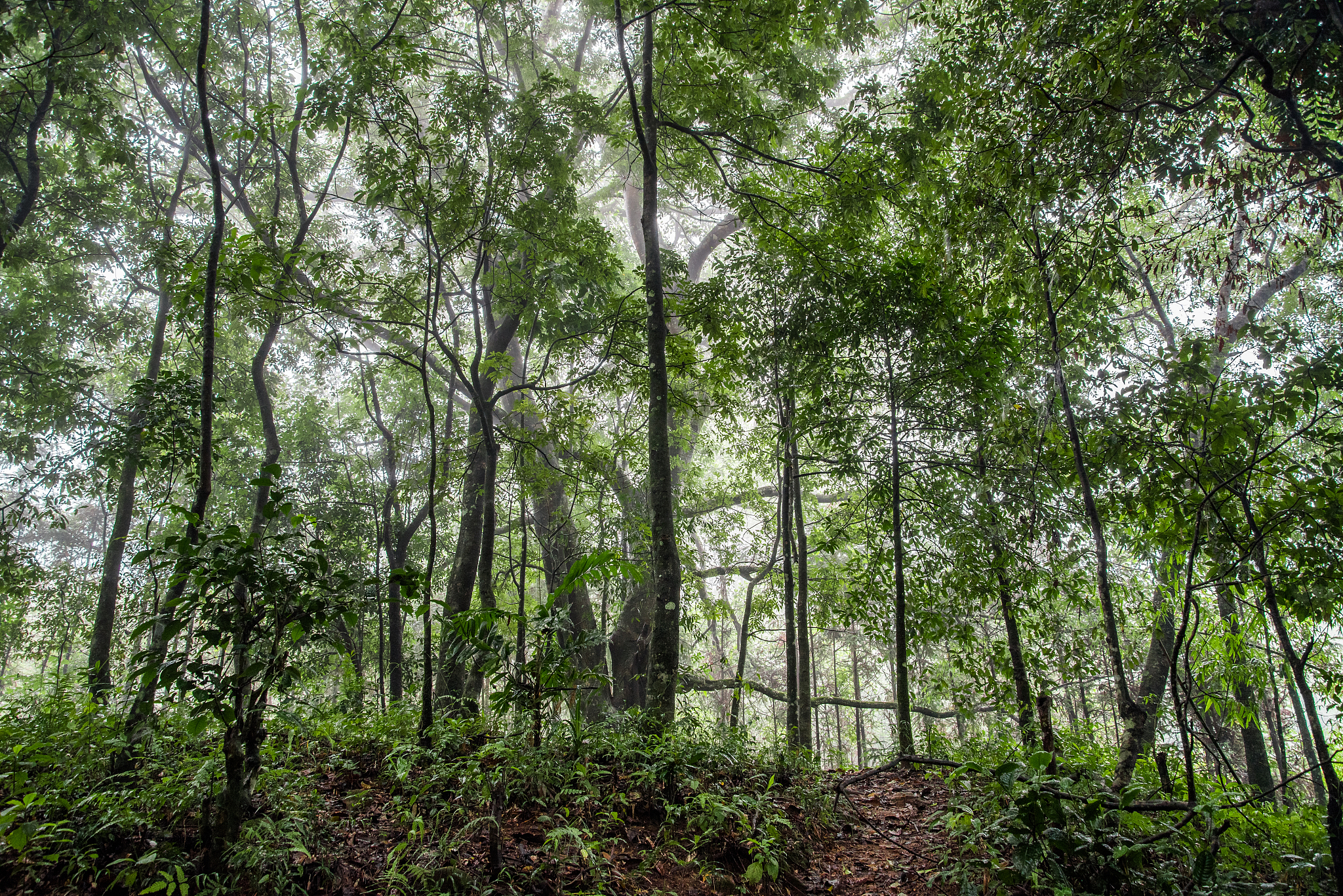 云南省临沧卫生学校网站网址