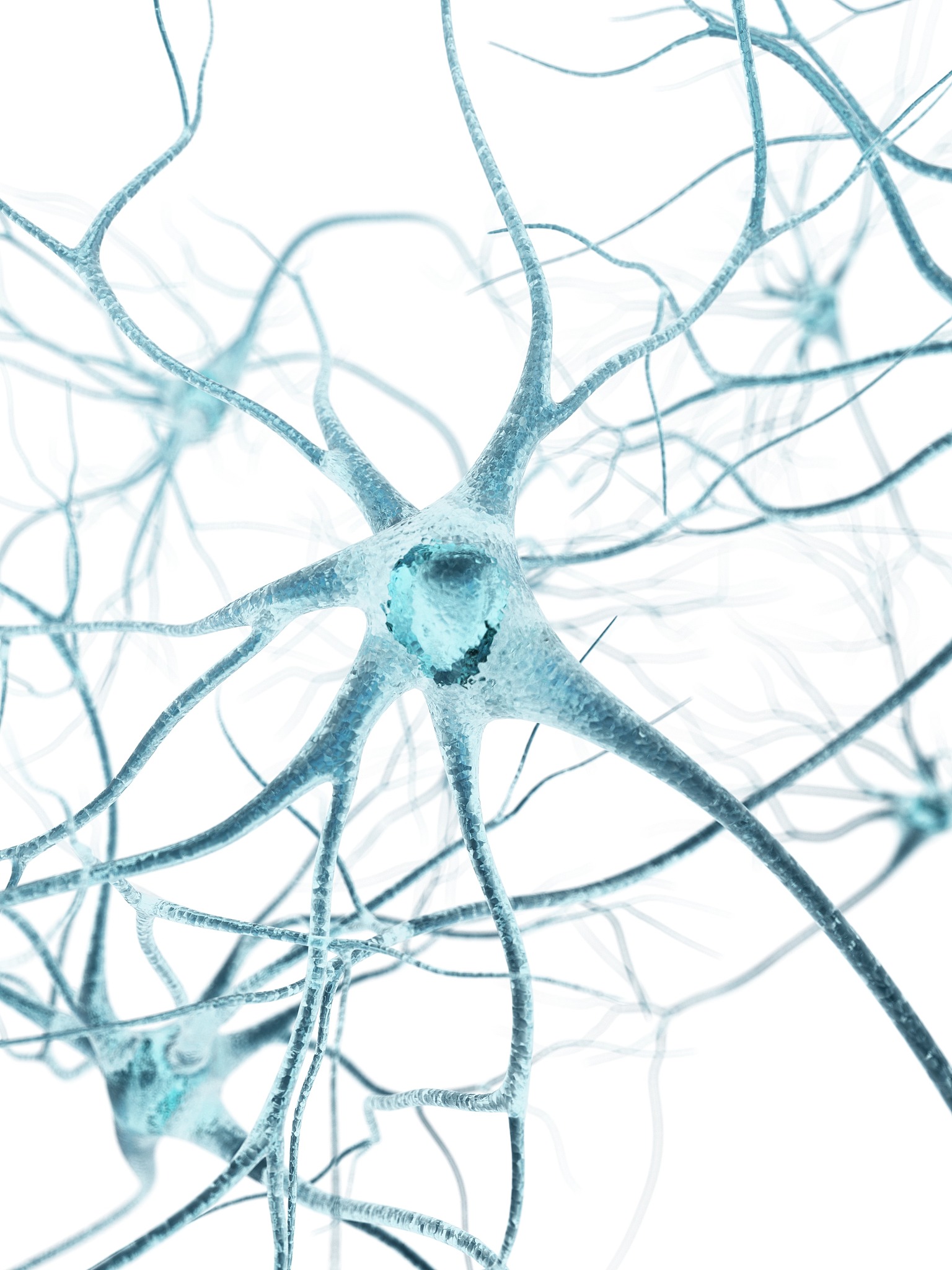 Neural Regeneration Research 期刊：神经再生与修复领域领先期刊