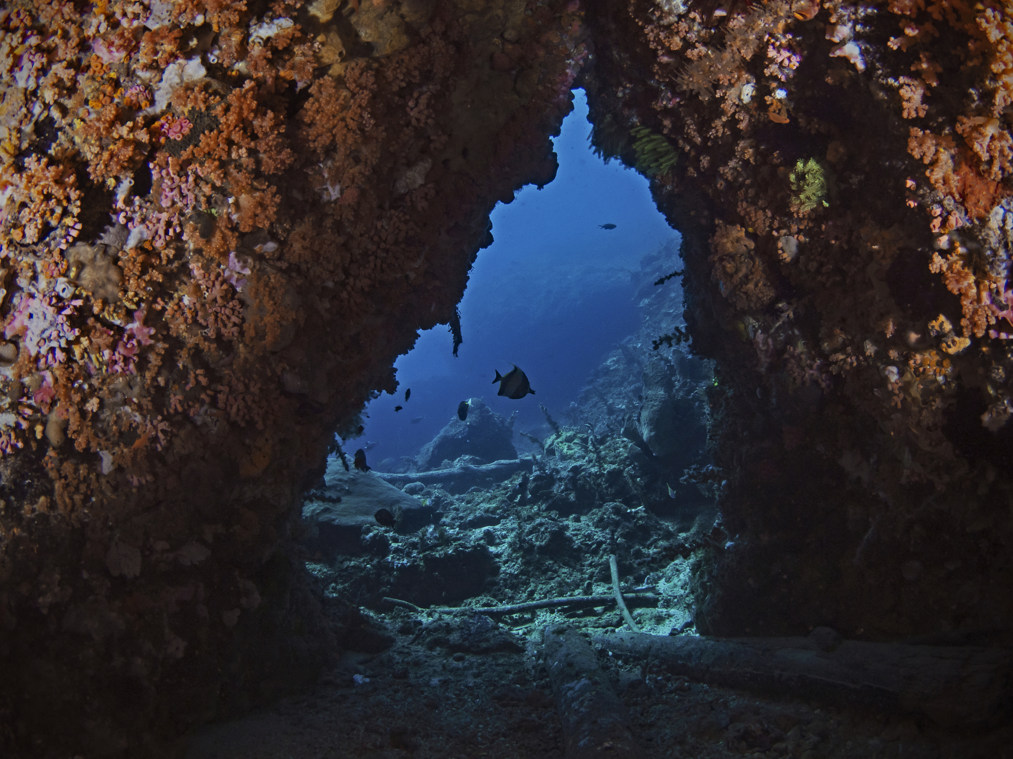 蓝洞是怎么形成的