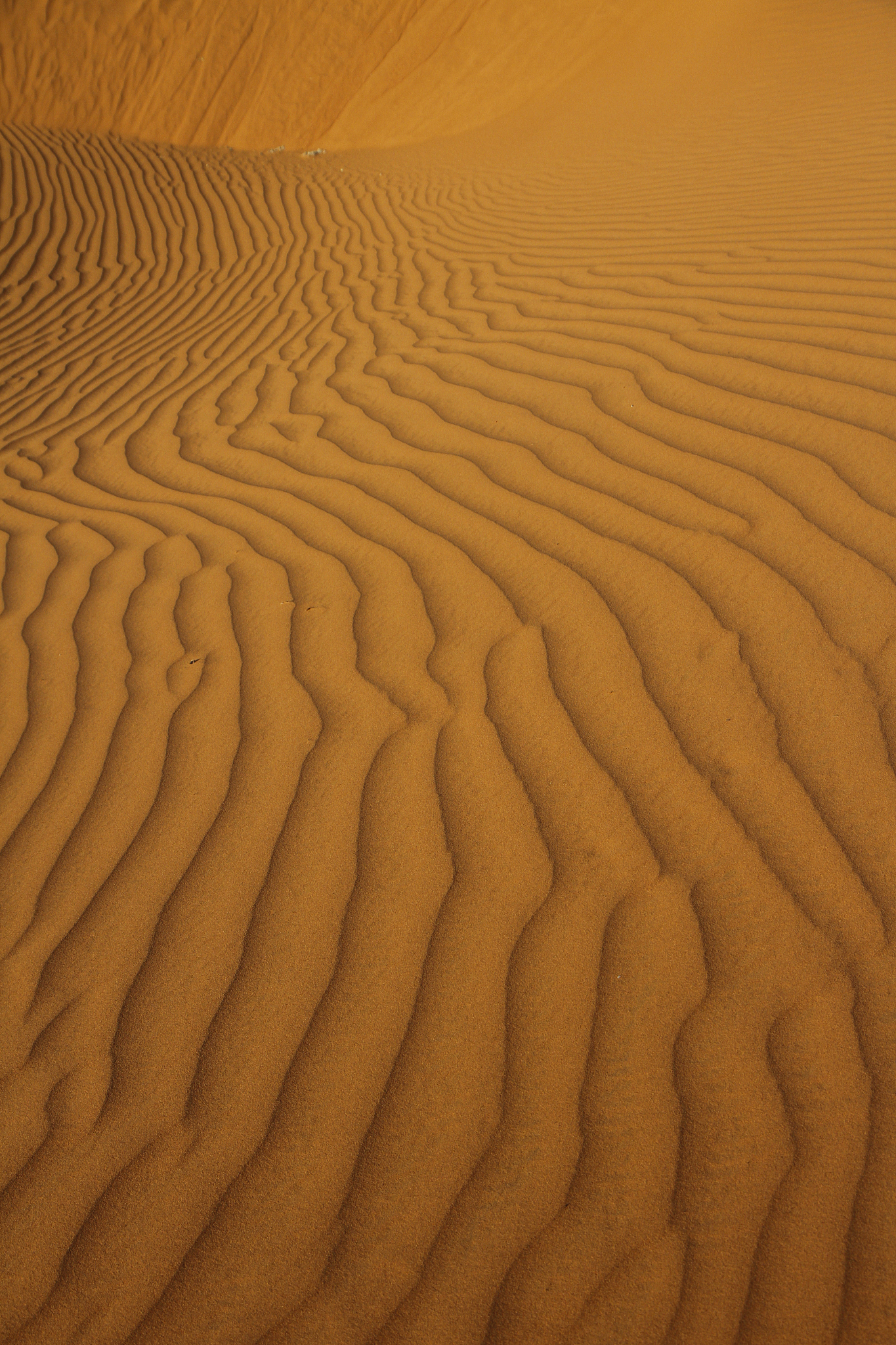 desert sands