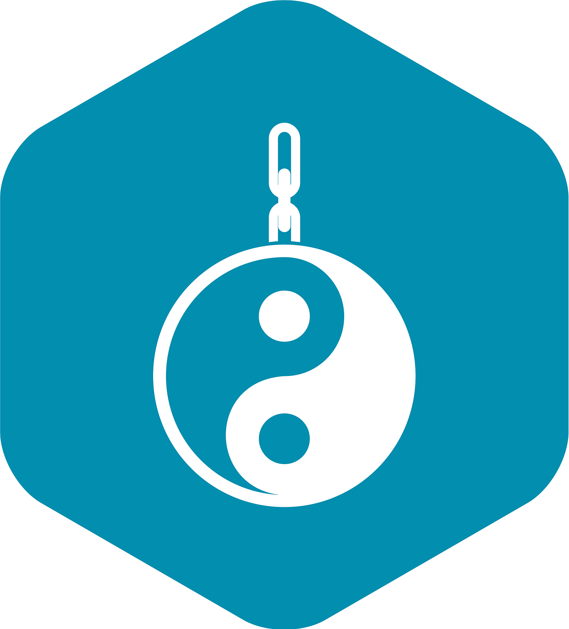 sign yin yang icon simple style