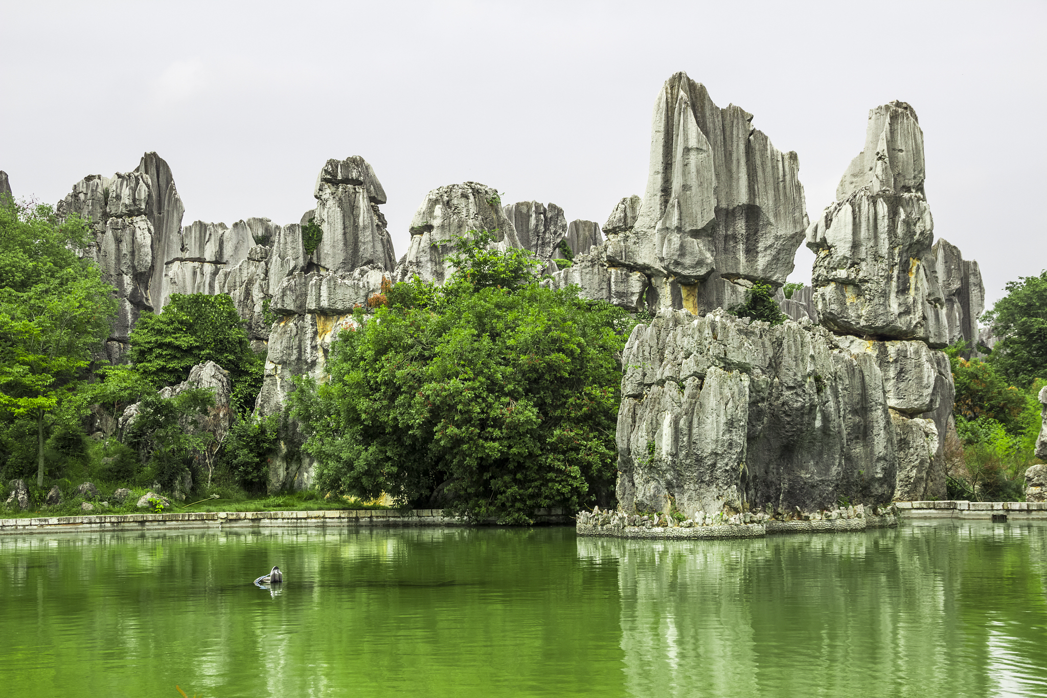 云南省旅游学校2022年旅游英语专业招生简章