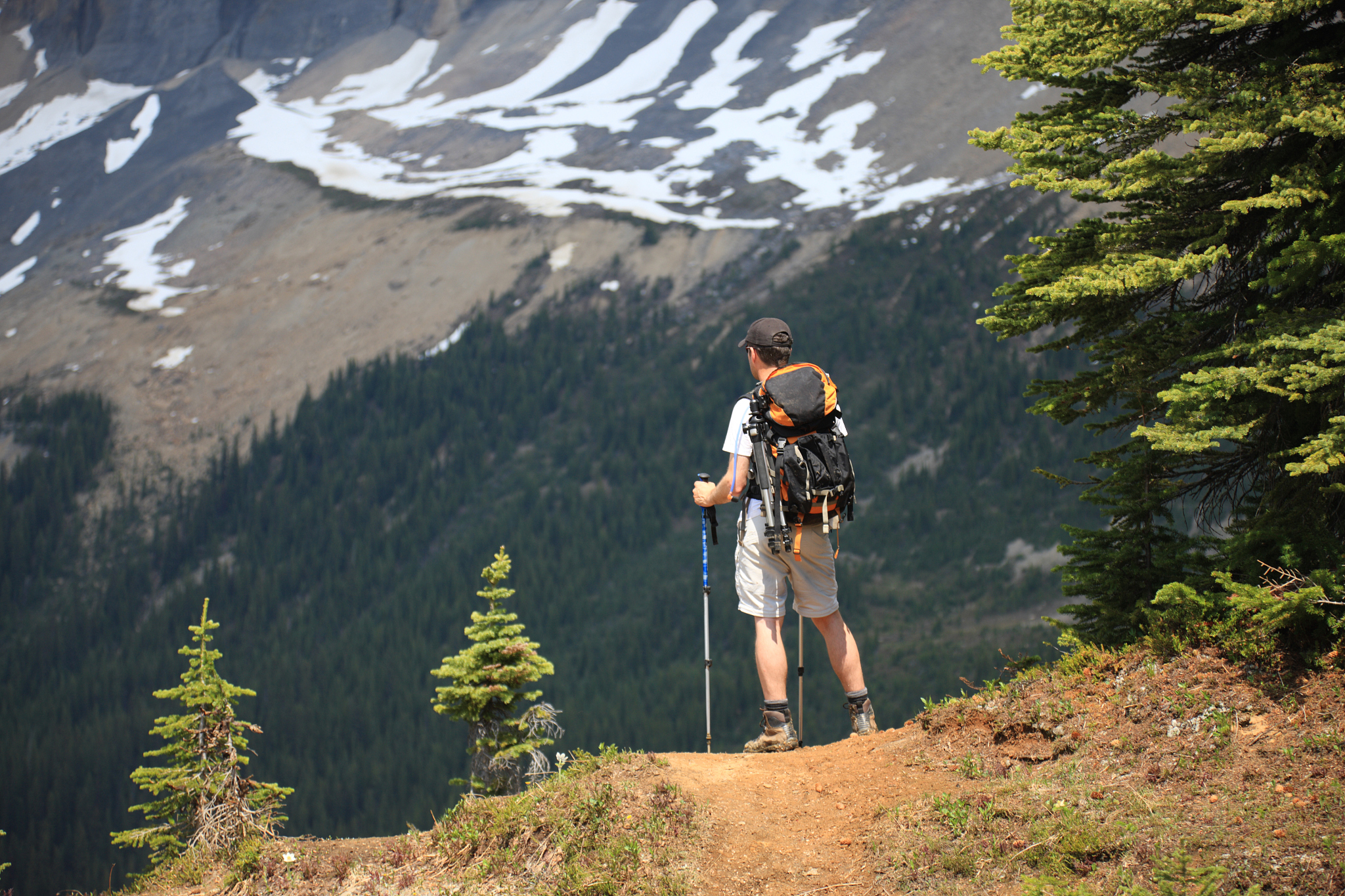 Inputfilepassagein-OutputfilepassageoutnAlp-the-mountain-climber-is-on-the-northwest-corner-of-a-square-area-of-mountainous-terrain-and-wishes-to-find-a-passage-to-the-opposite-southeast-corner-Alp-is-currently-at-an-elevation-at-which-oxygen-is-not-