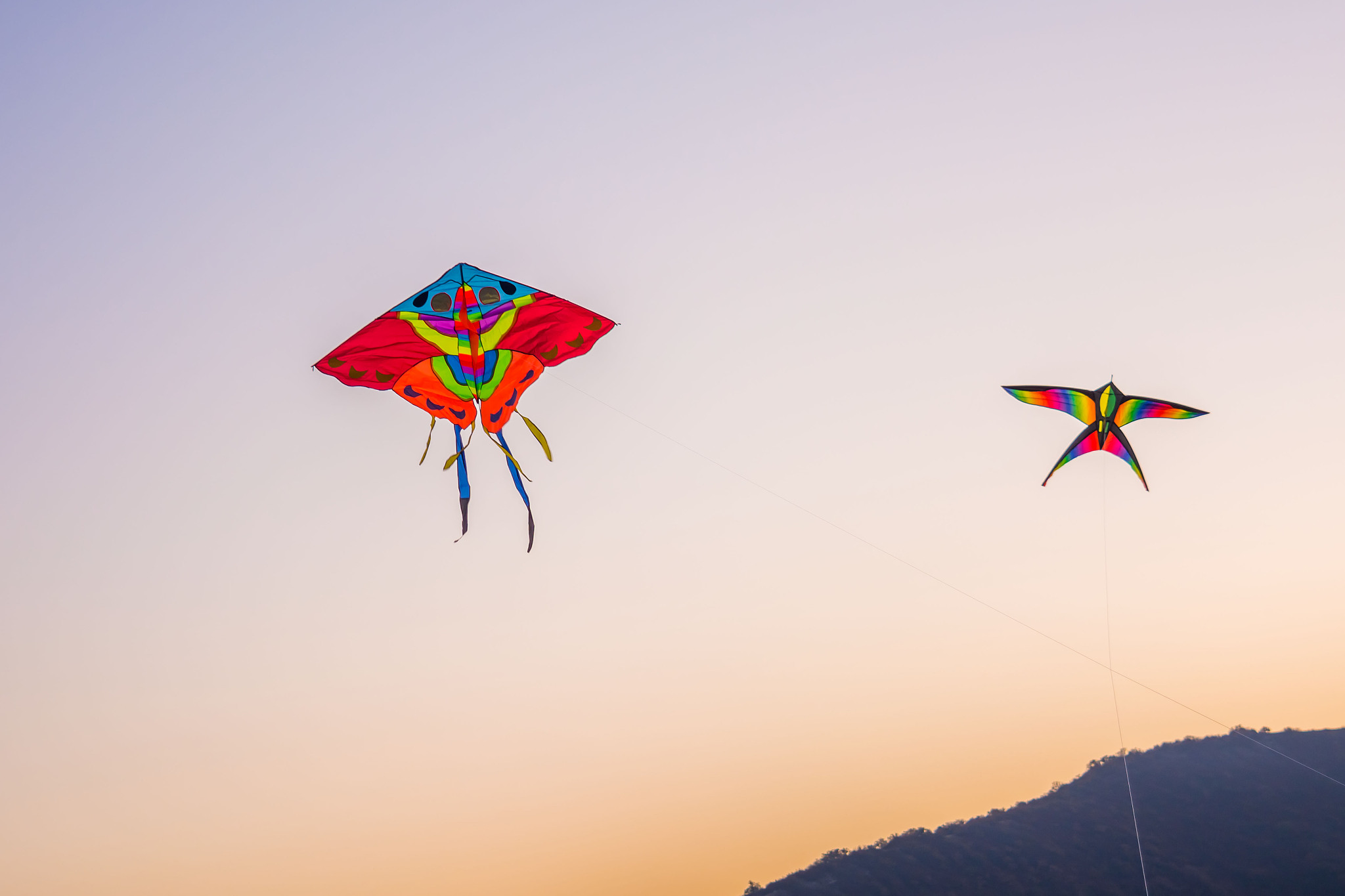 kite in the sky