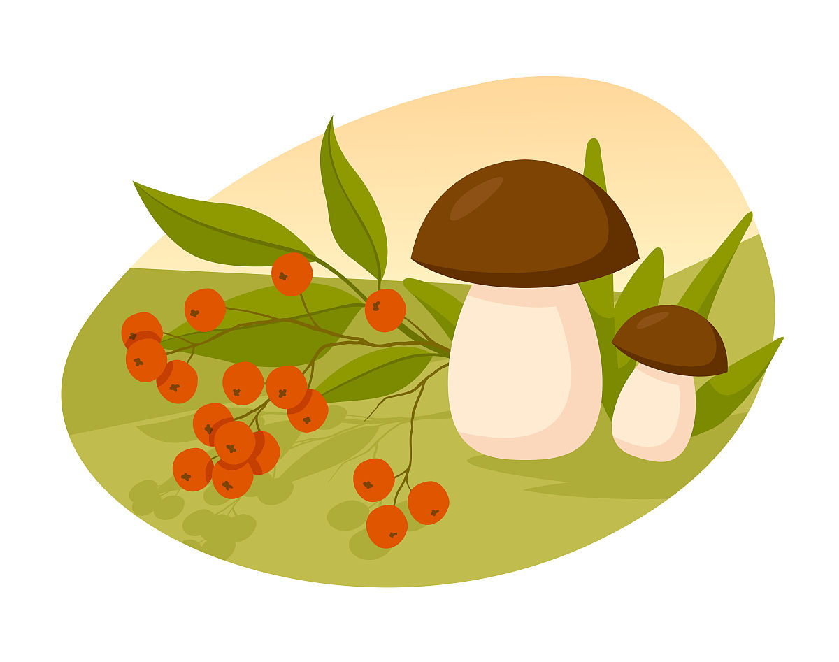 对资源的理论界定