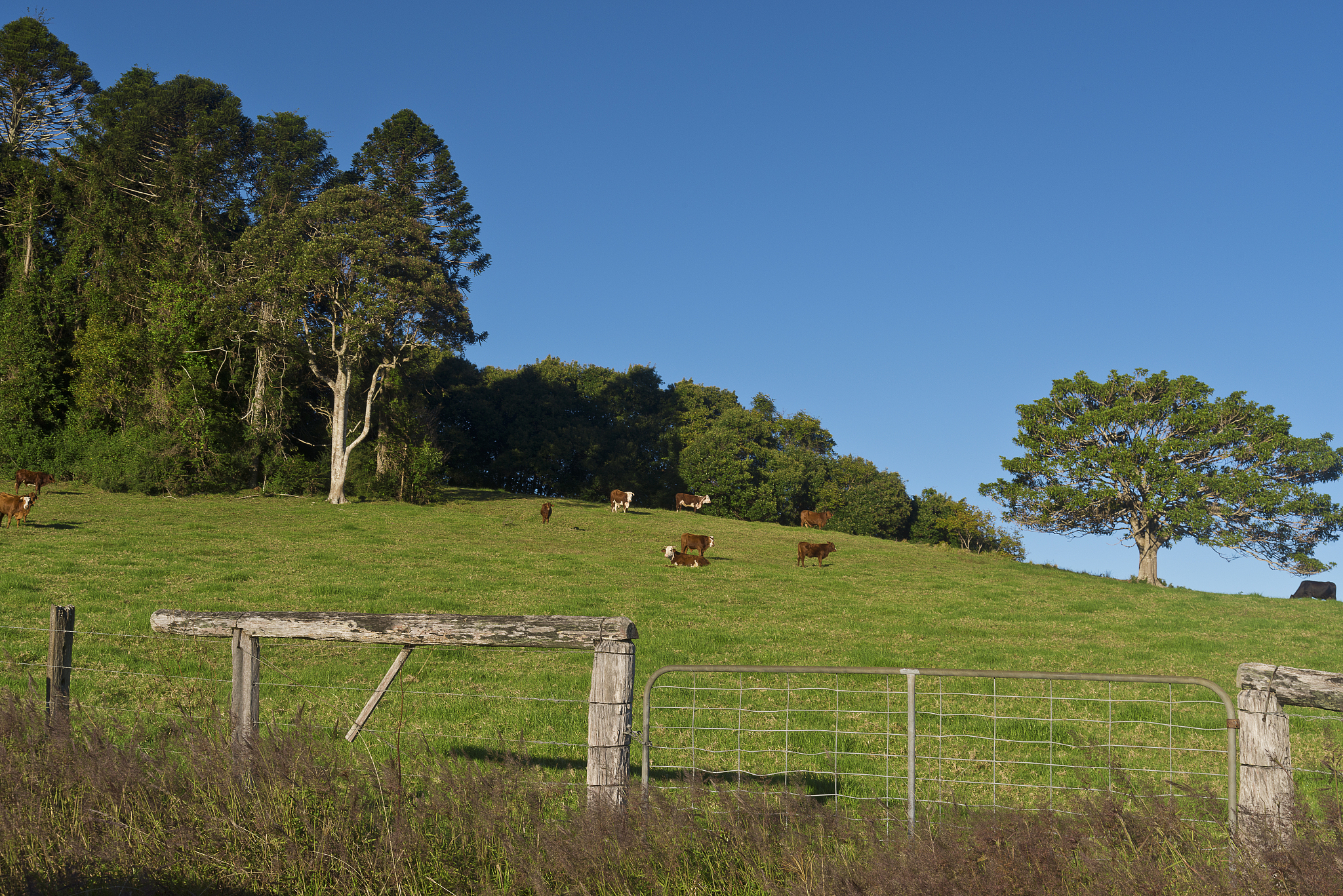 小学一年级郊游日记：快乐的一天