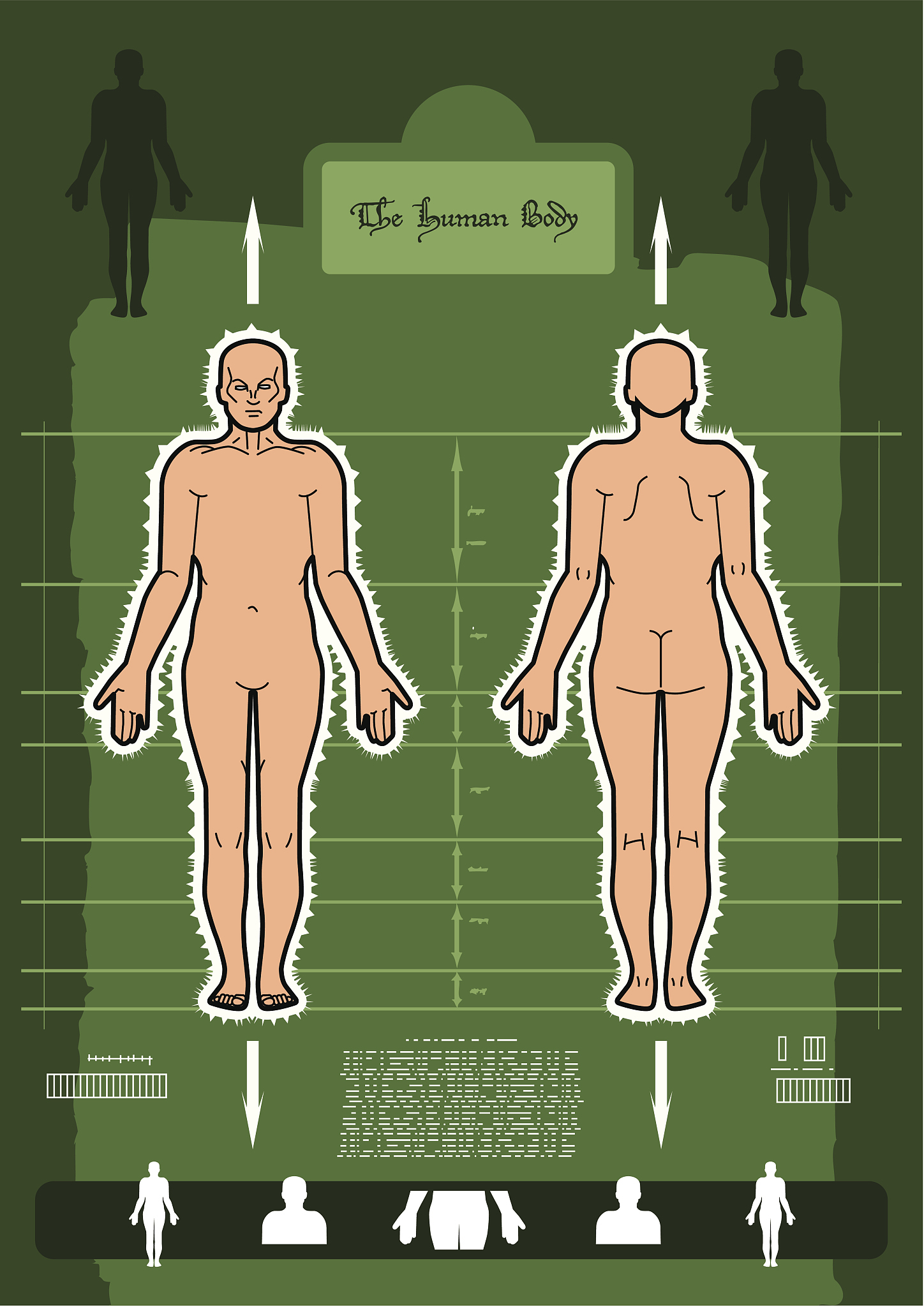 躯体含义解析：从身体到概念