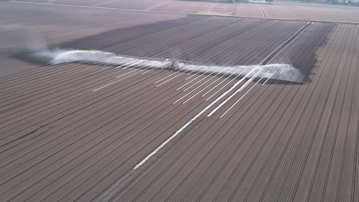 液体地膜竞品分析：哪种地膜更适合你？