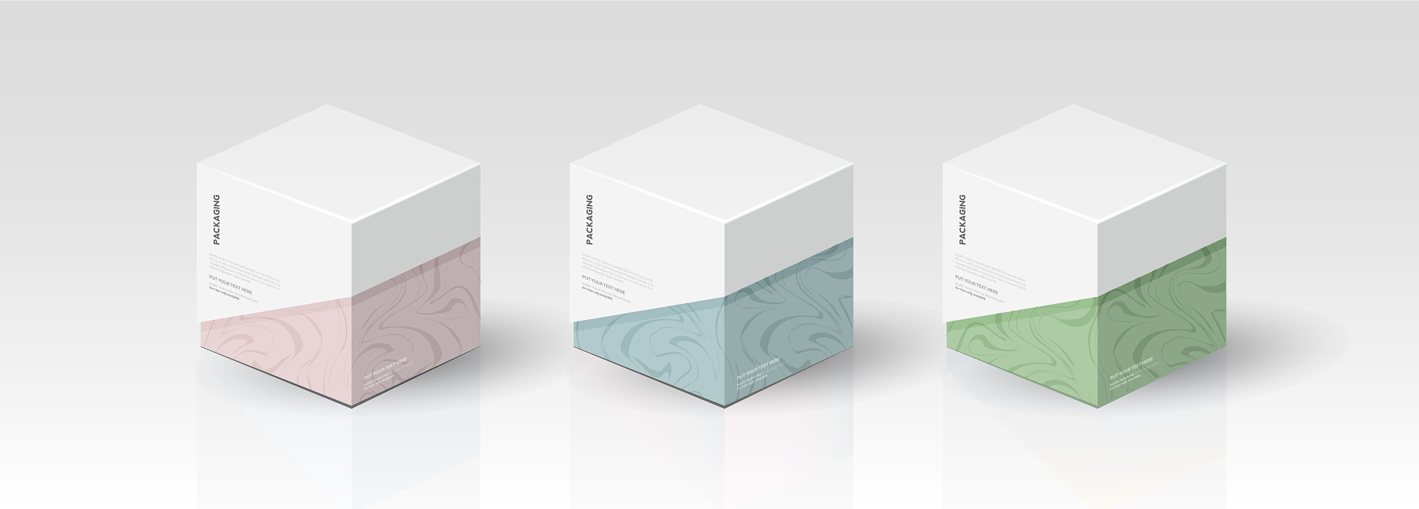 box packaging template for product design