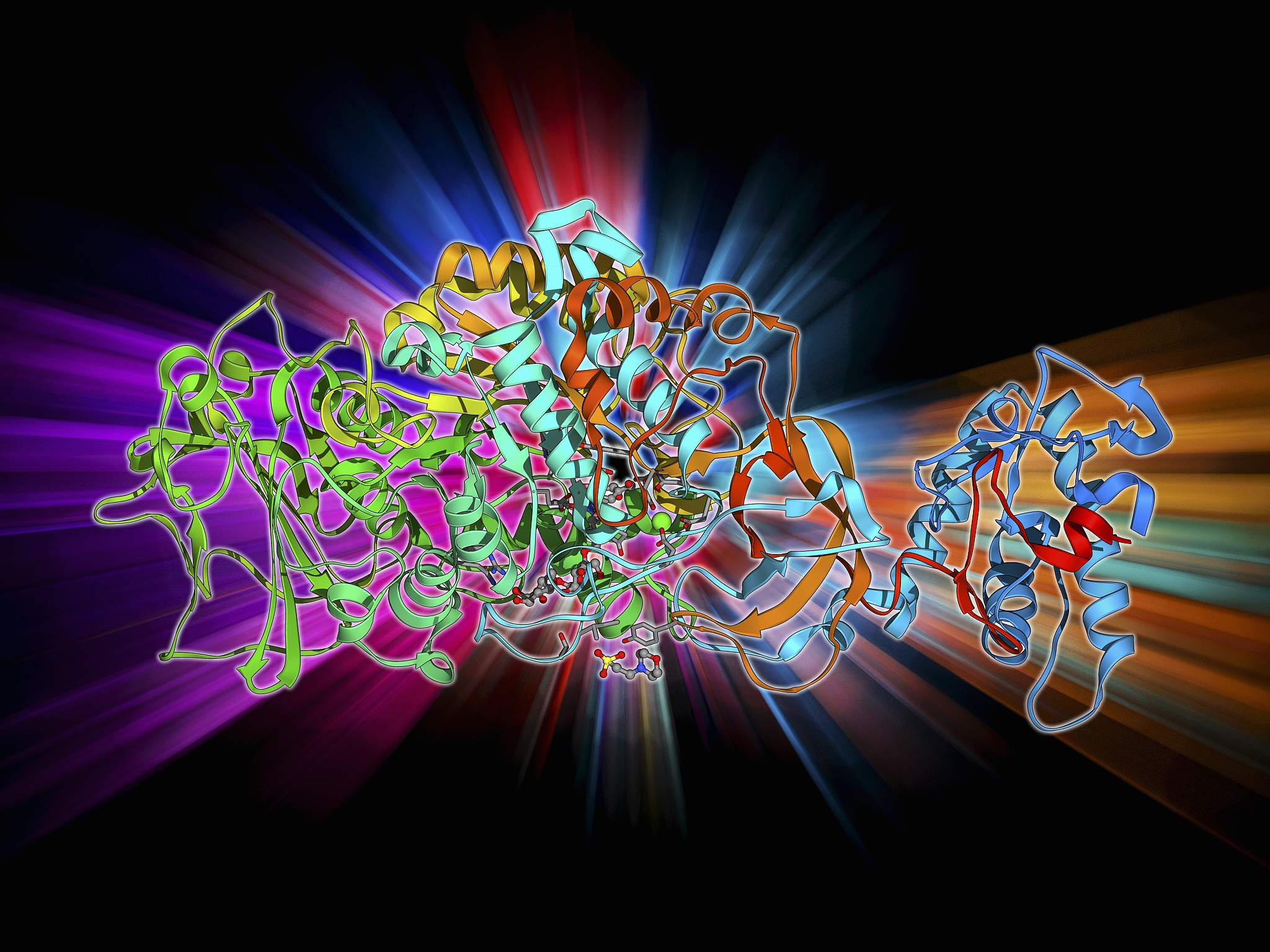 氧化酶试验阳性有什么意义
