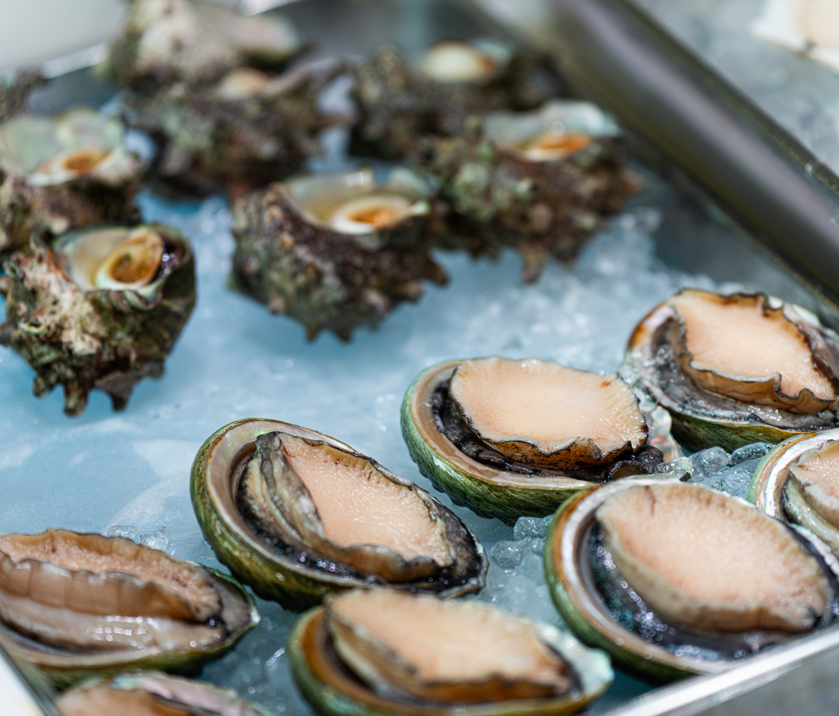 去壳假鲍鱼煮多久