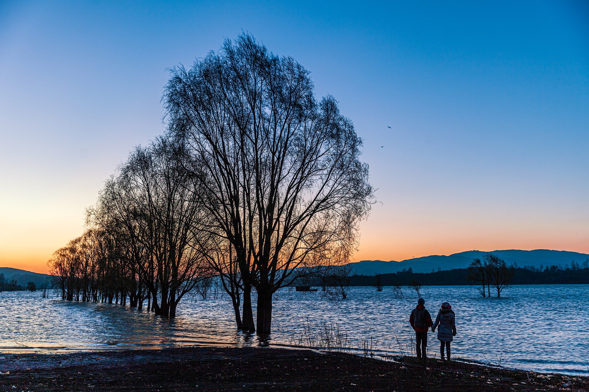 曲靖中专学校就业前景哪家强？