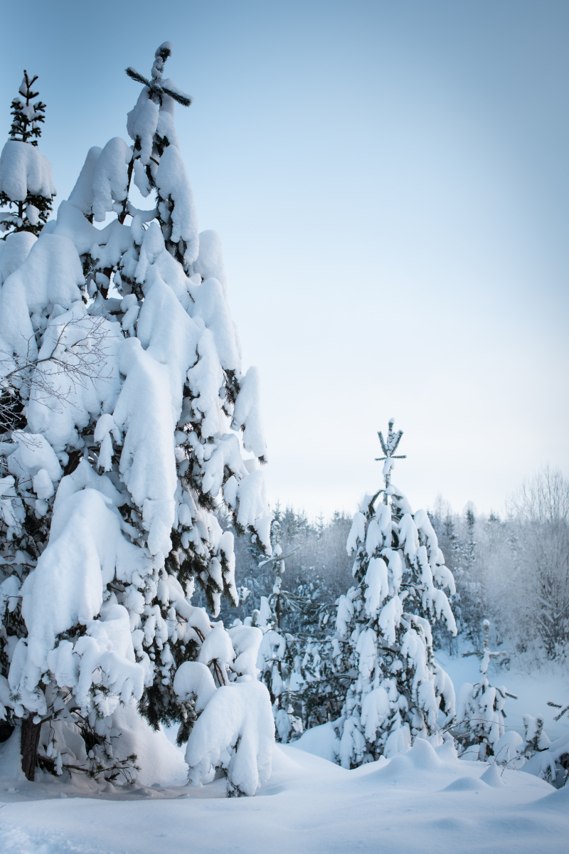 漫天飞舞冬天的雪景词语