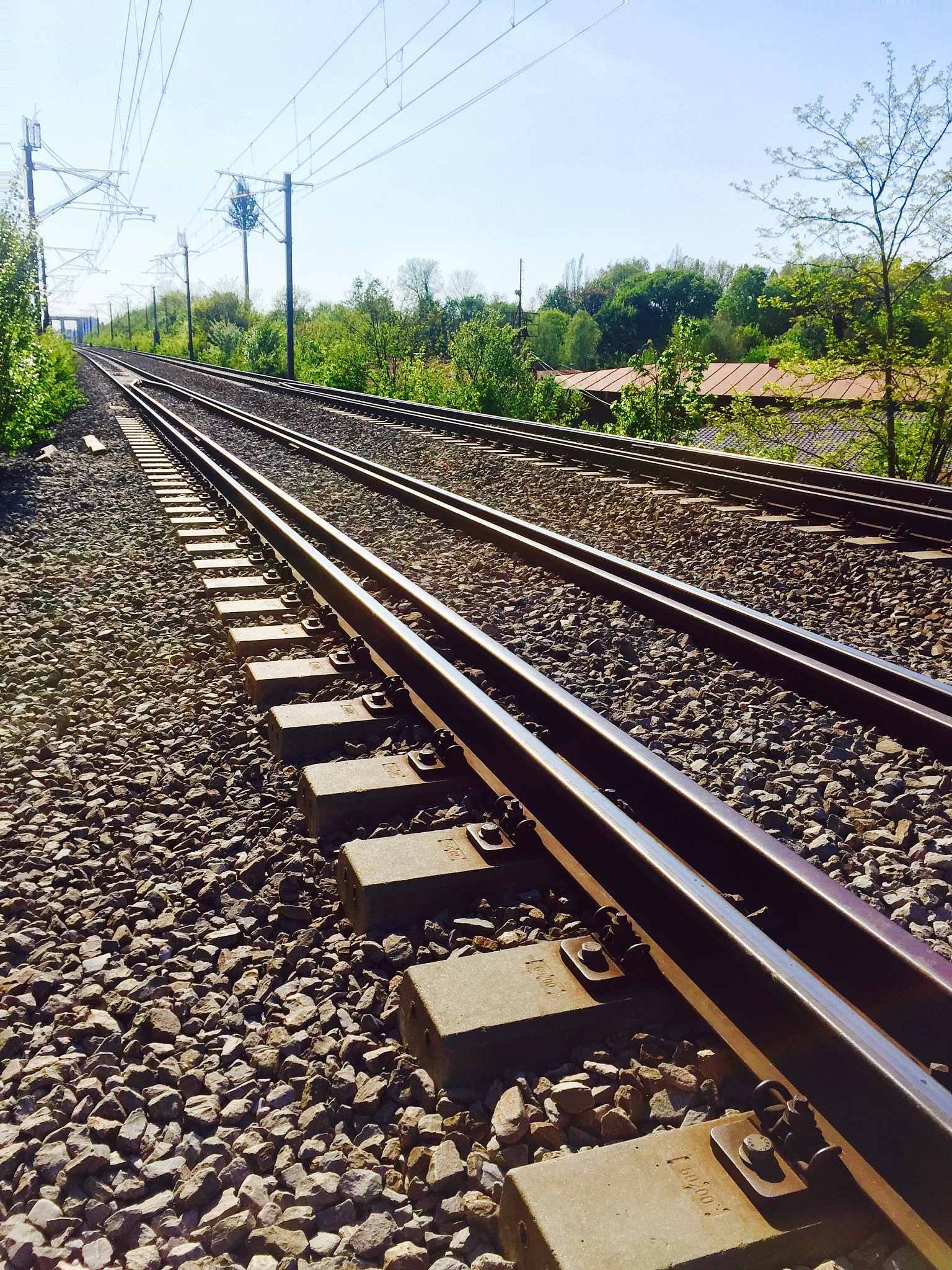 广西2021年铁路学校学什么比较好