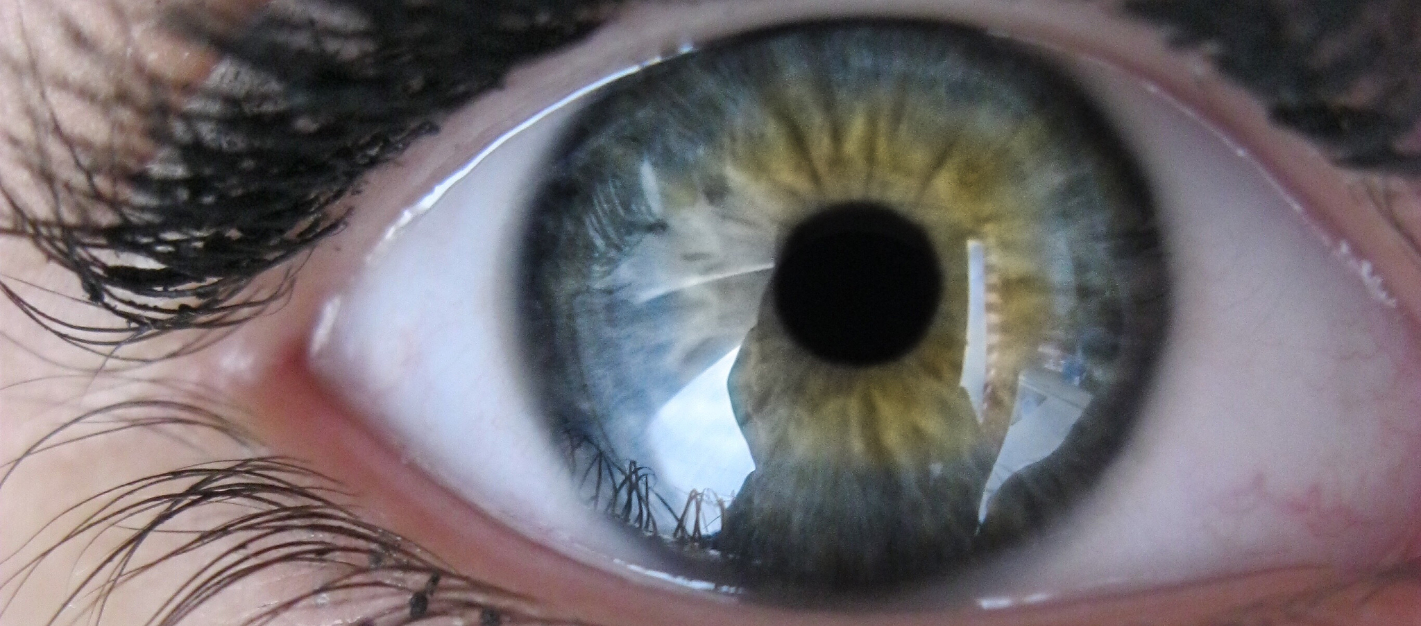 cropped image of human eye