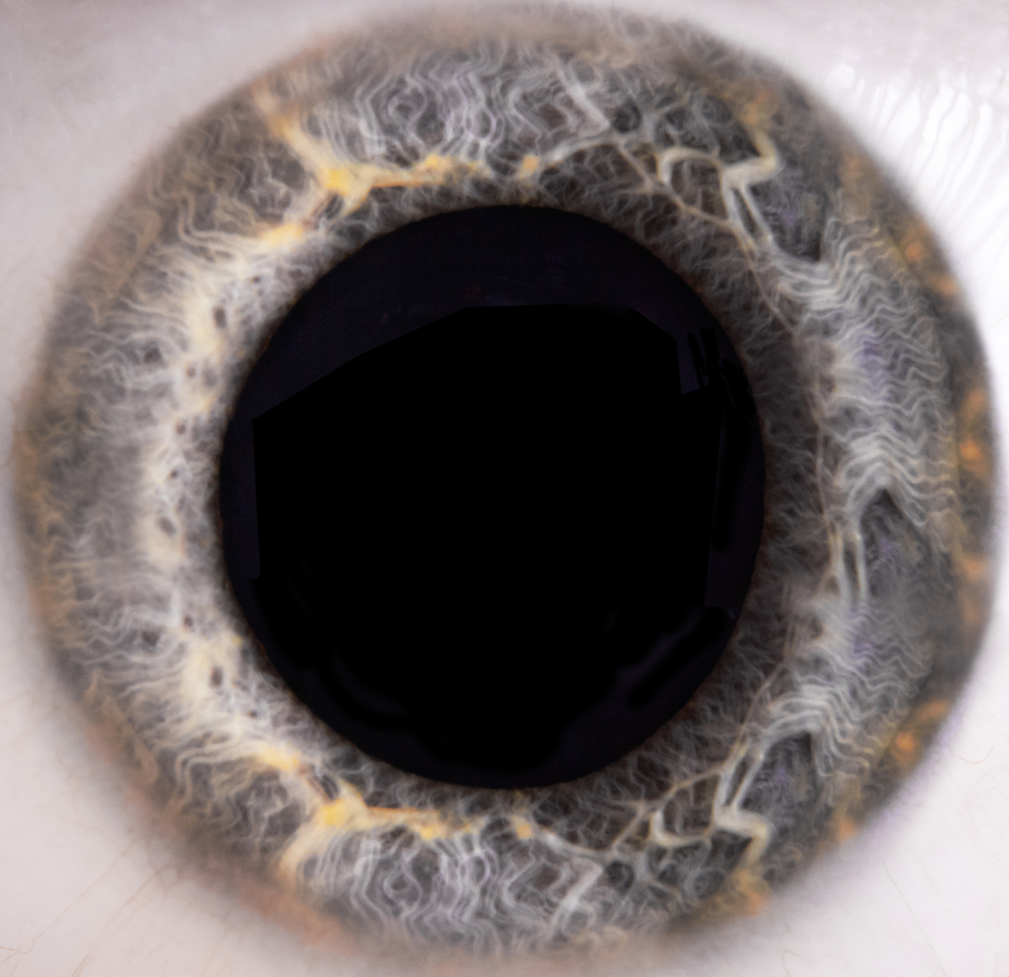 man eyes