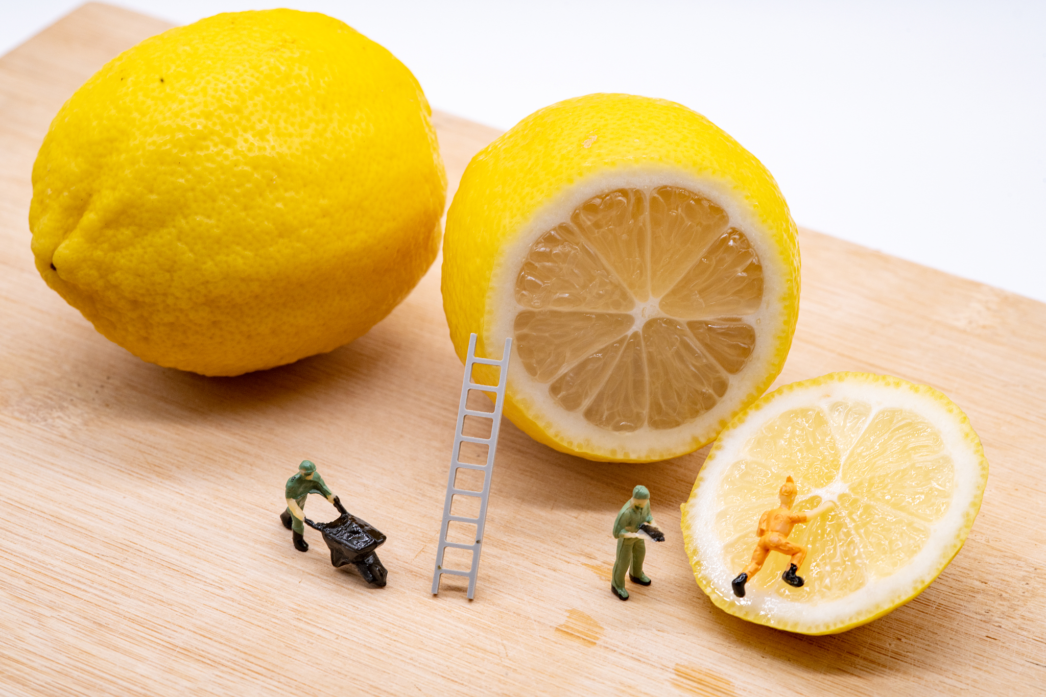 2020年重庆信息职业学院摄影摄像技术专业招生