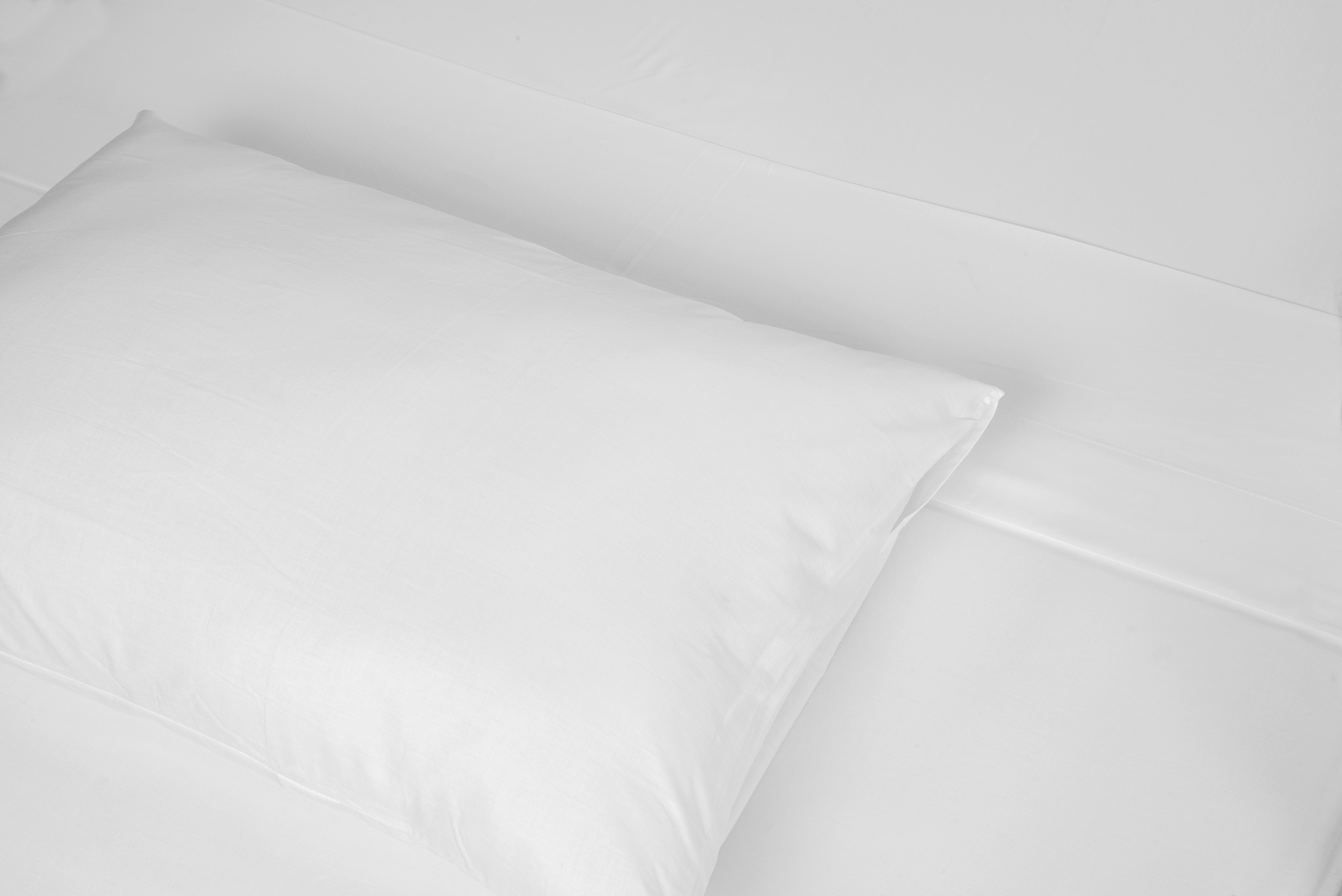 bed.