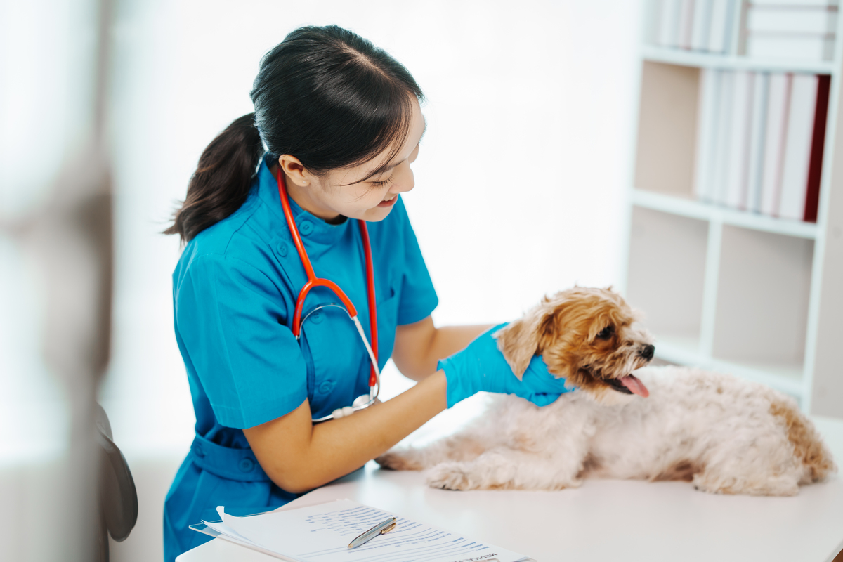 山东省安装工程技工学校动物医学科学系怎么样？