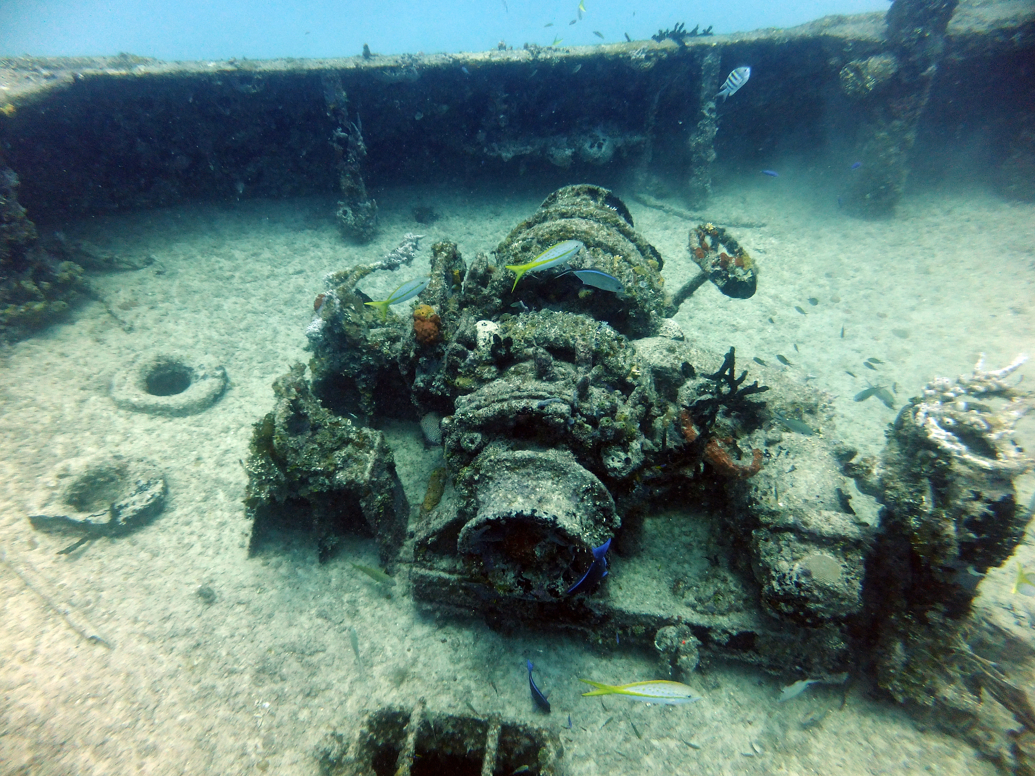 summer diving fun