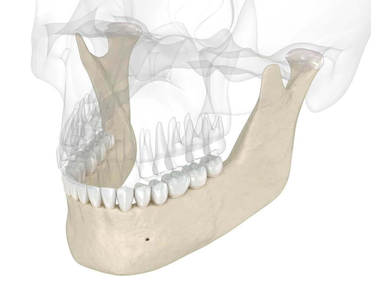 2T童装尺码指南：适合2岁宝宝的服装选择