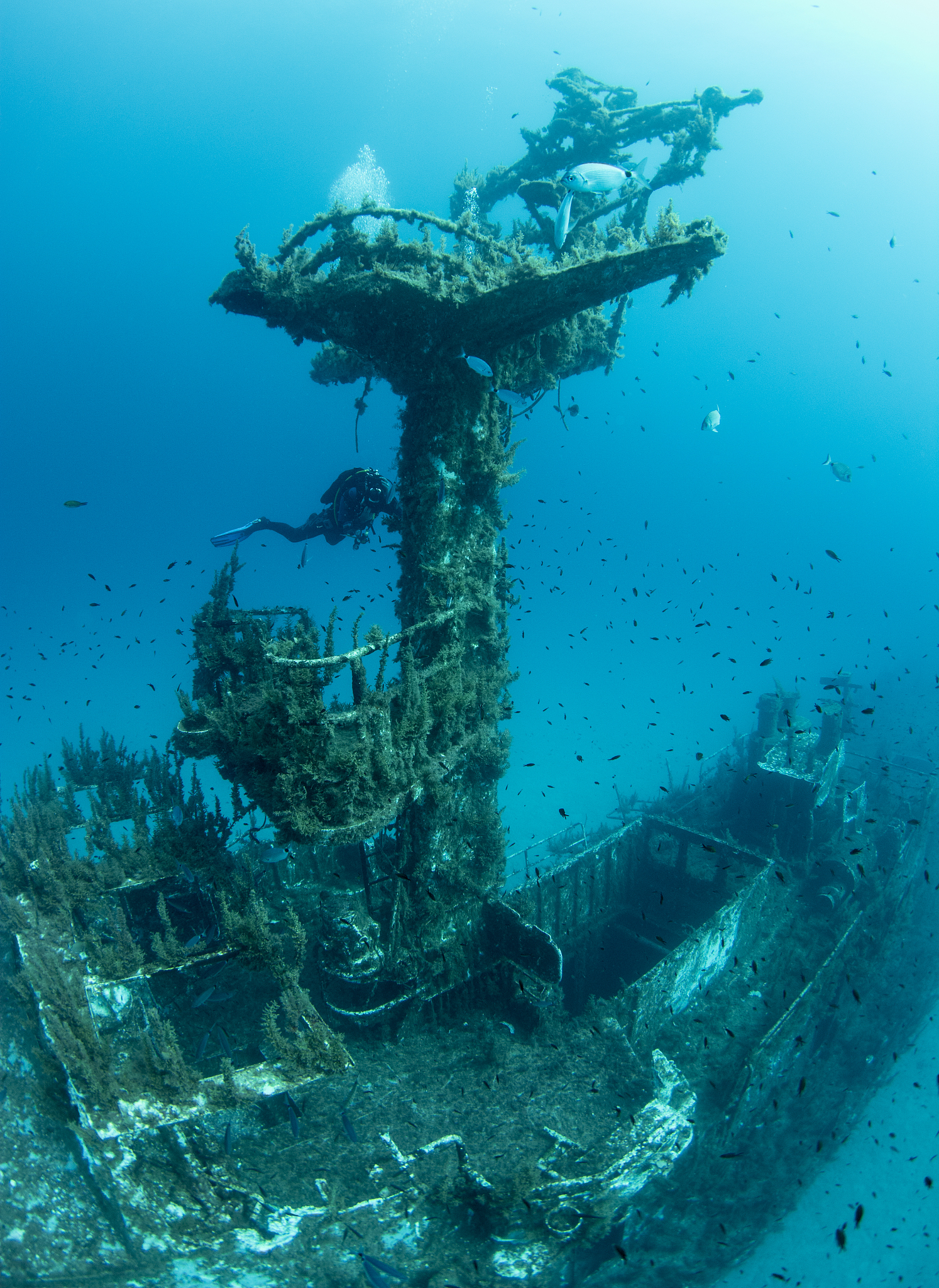 p29 minesweeper shipwreck