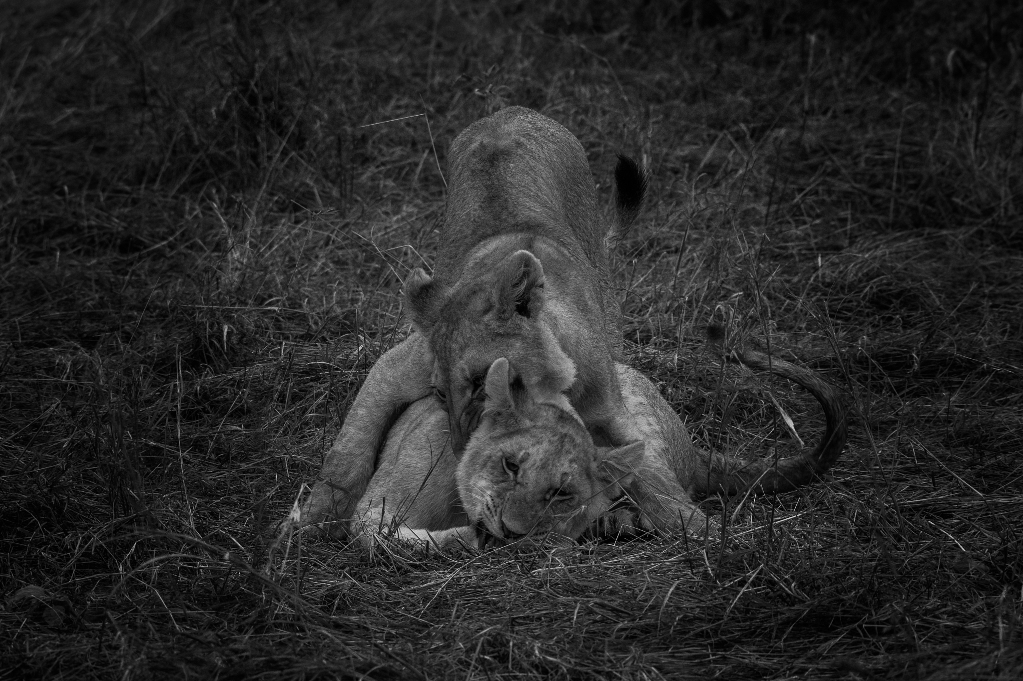 《象人》：人性光辉与生命尊严的赞歌