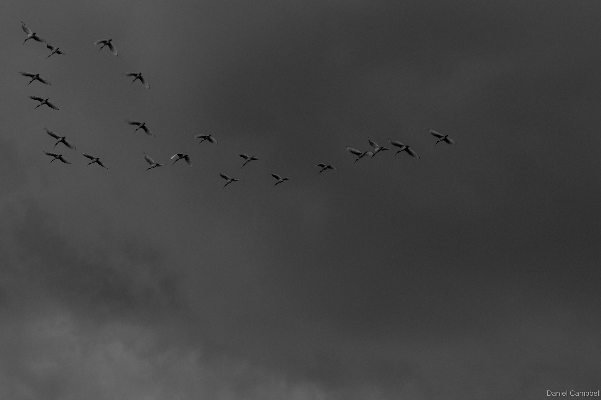 你是一个资深的Word使用人员在Word2007中给大量图片自动修改成高388cm、宽43cm排列成每行4张图片并且在每张图片下方中间位置按顺序加上阿拉伯数字的编号要求写出宏代码而且能在Word2007中运行。