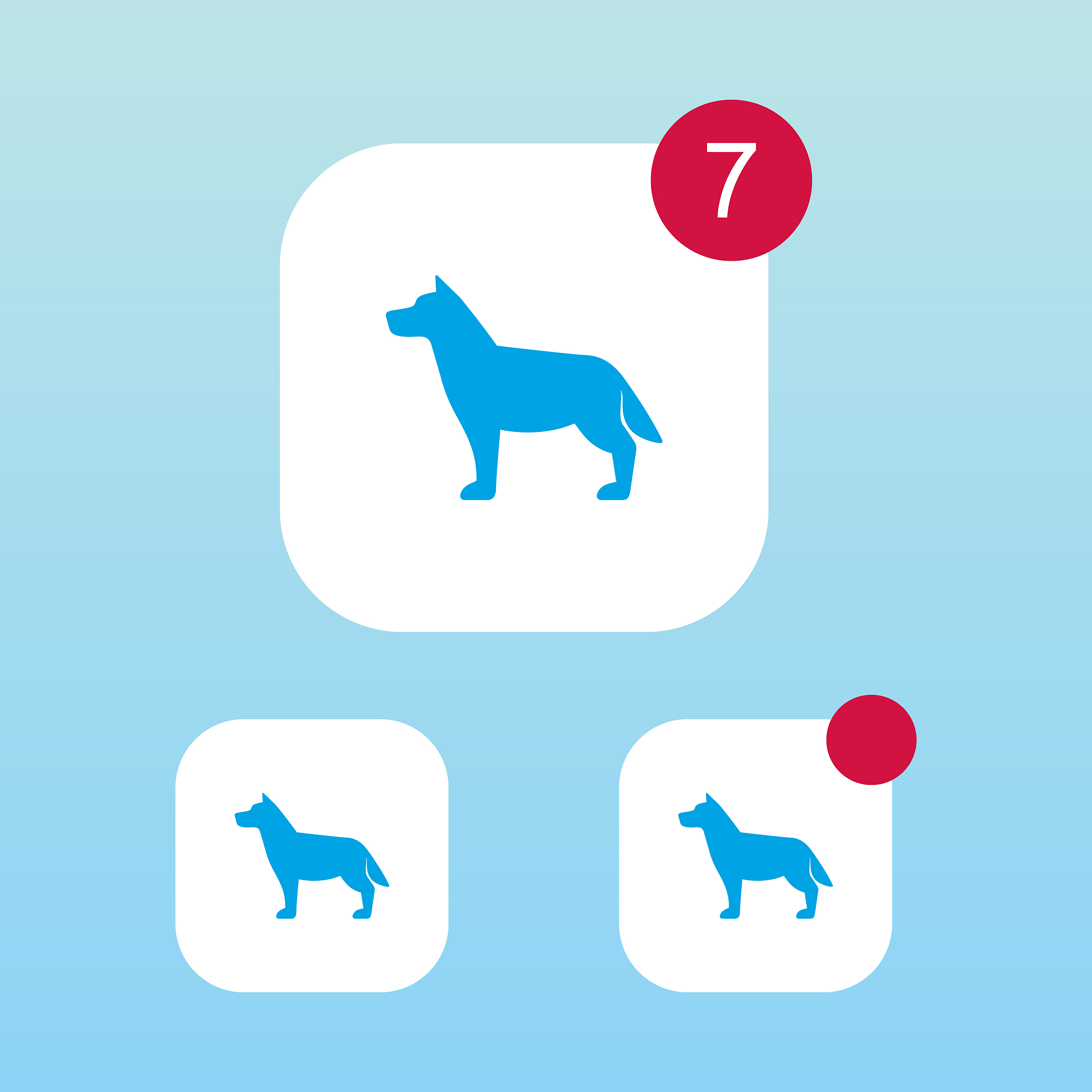 宠物行为调整APP：解决宠物行为问题，打造和谐人宠关系