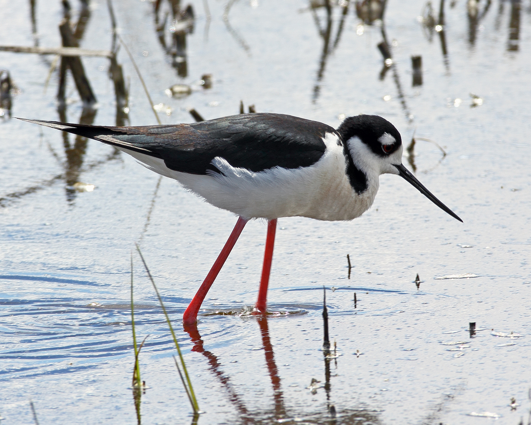太原风雨潮文化艺术学校摄影专业怎么样