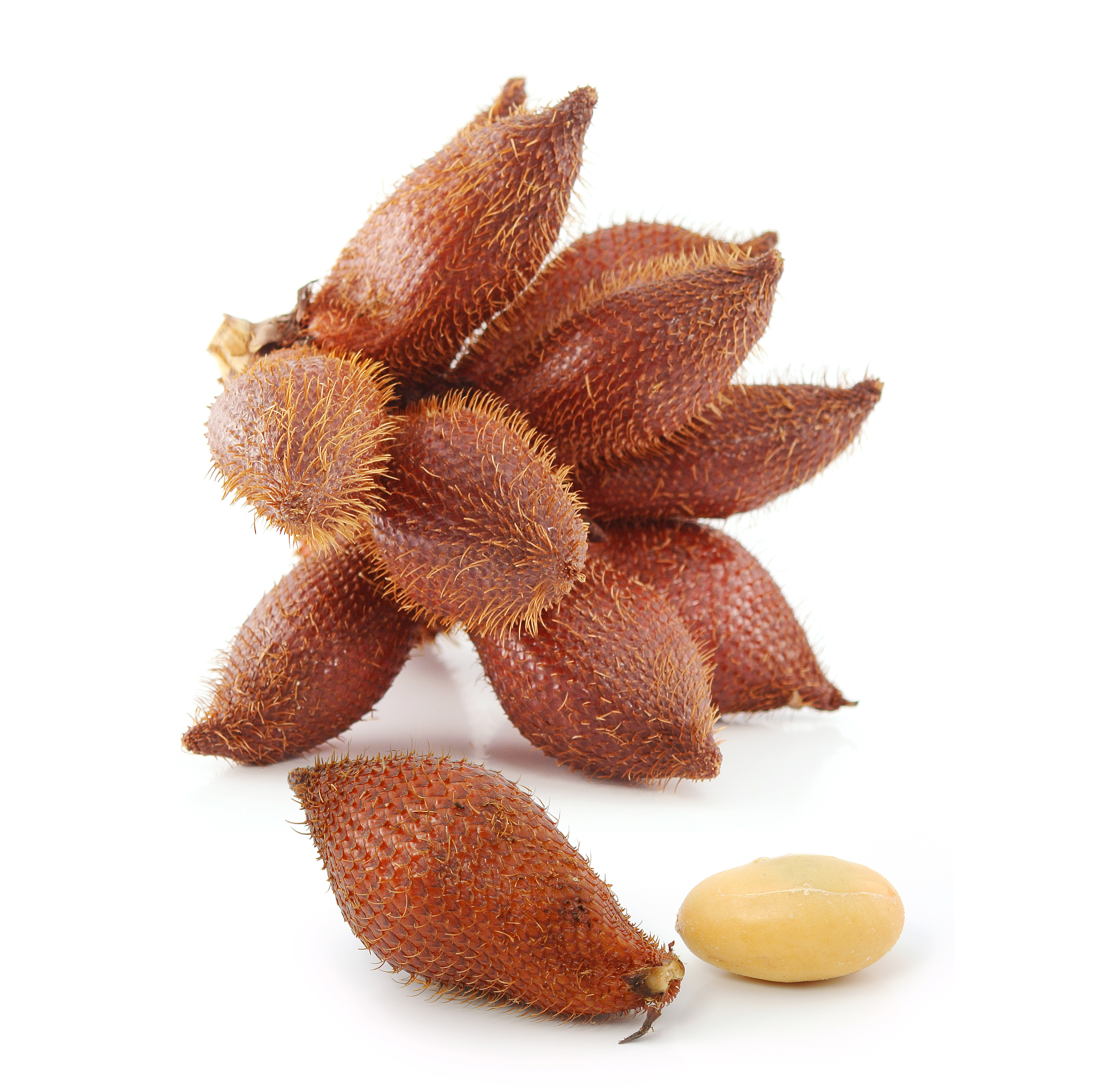 重庆会计专业哪个学校好用发散