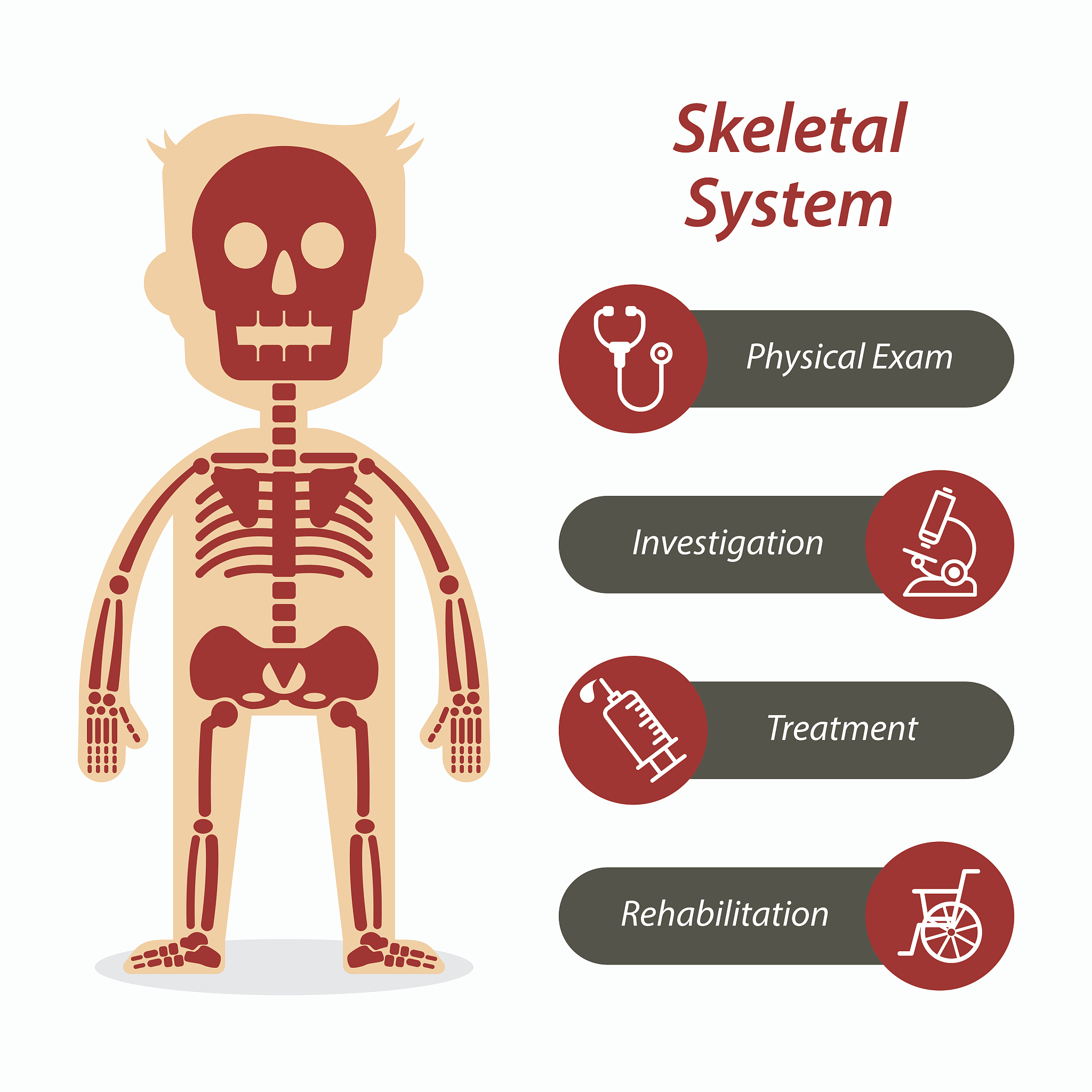 硫酸软骨素：关节健康守护者