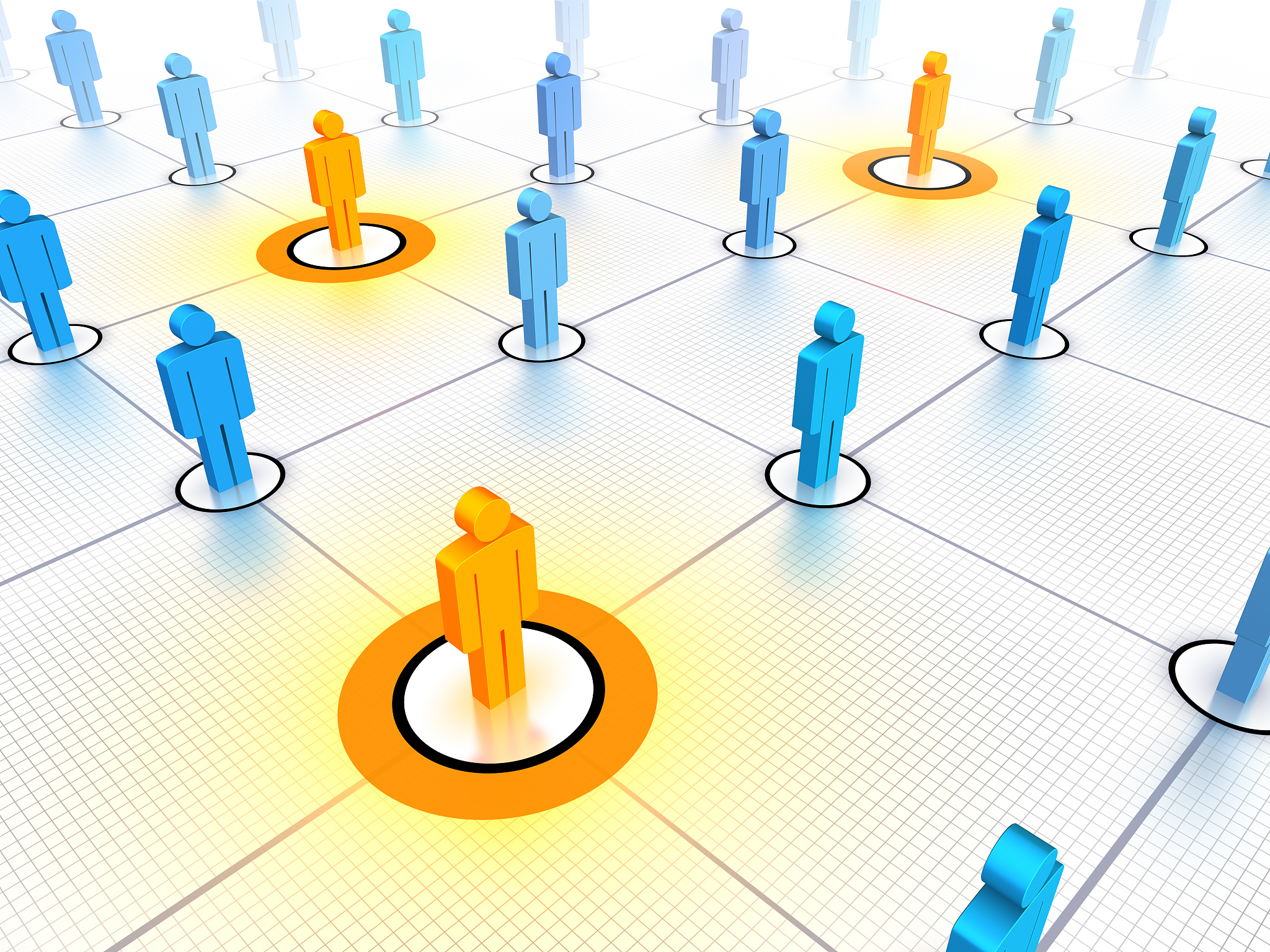 networked leaders