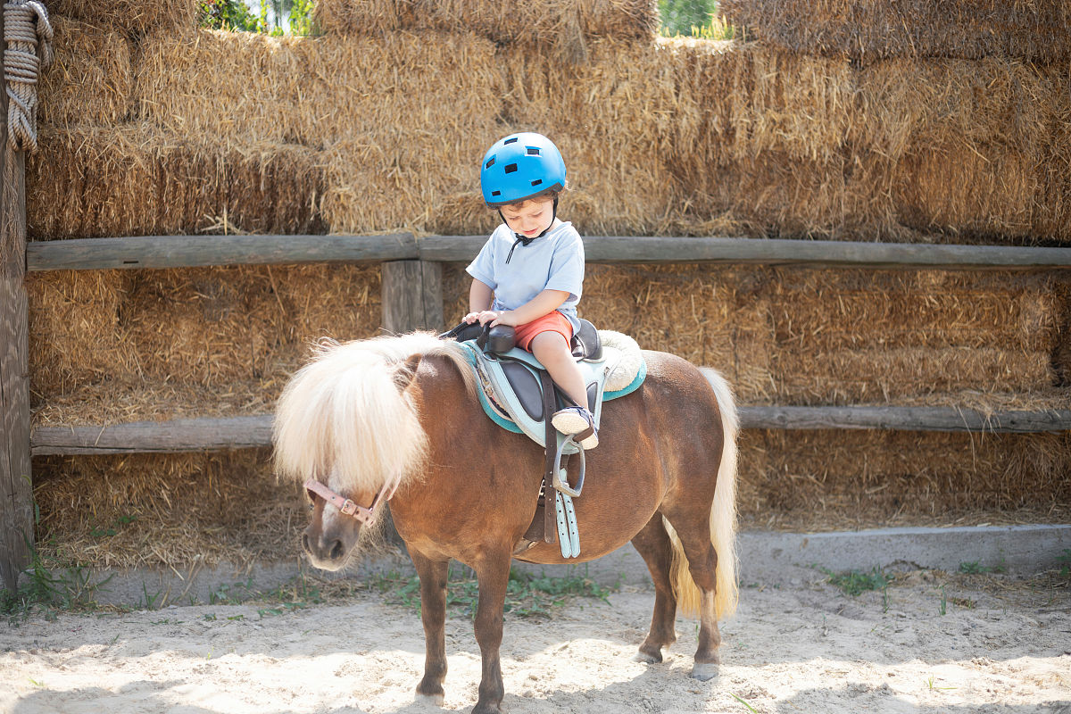接孩子骑马马的照片发朋友圈文案